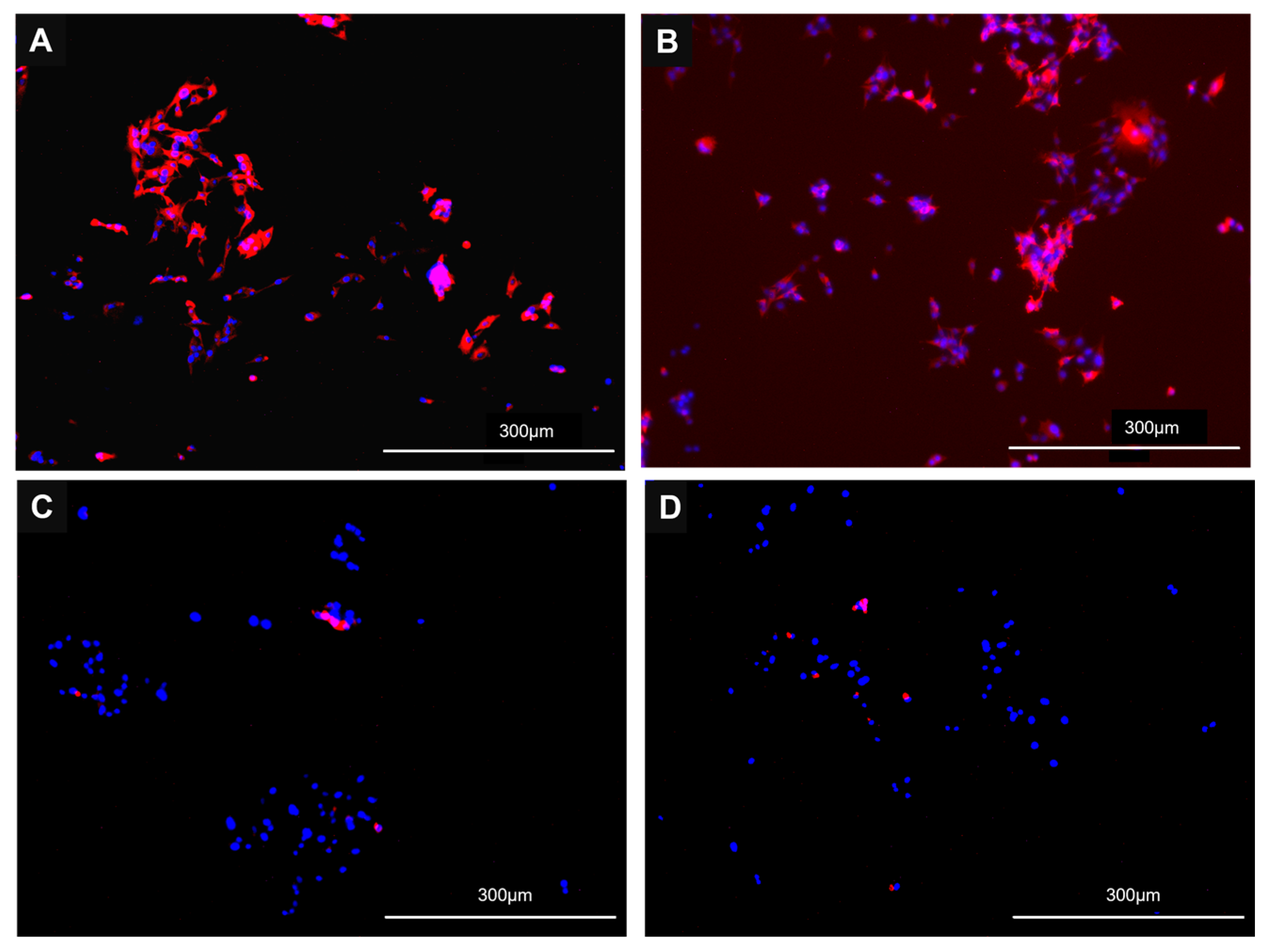 Viruses 17 00507 g004