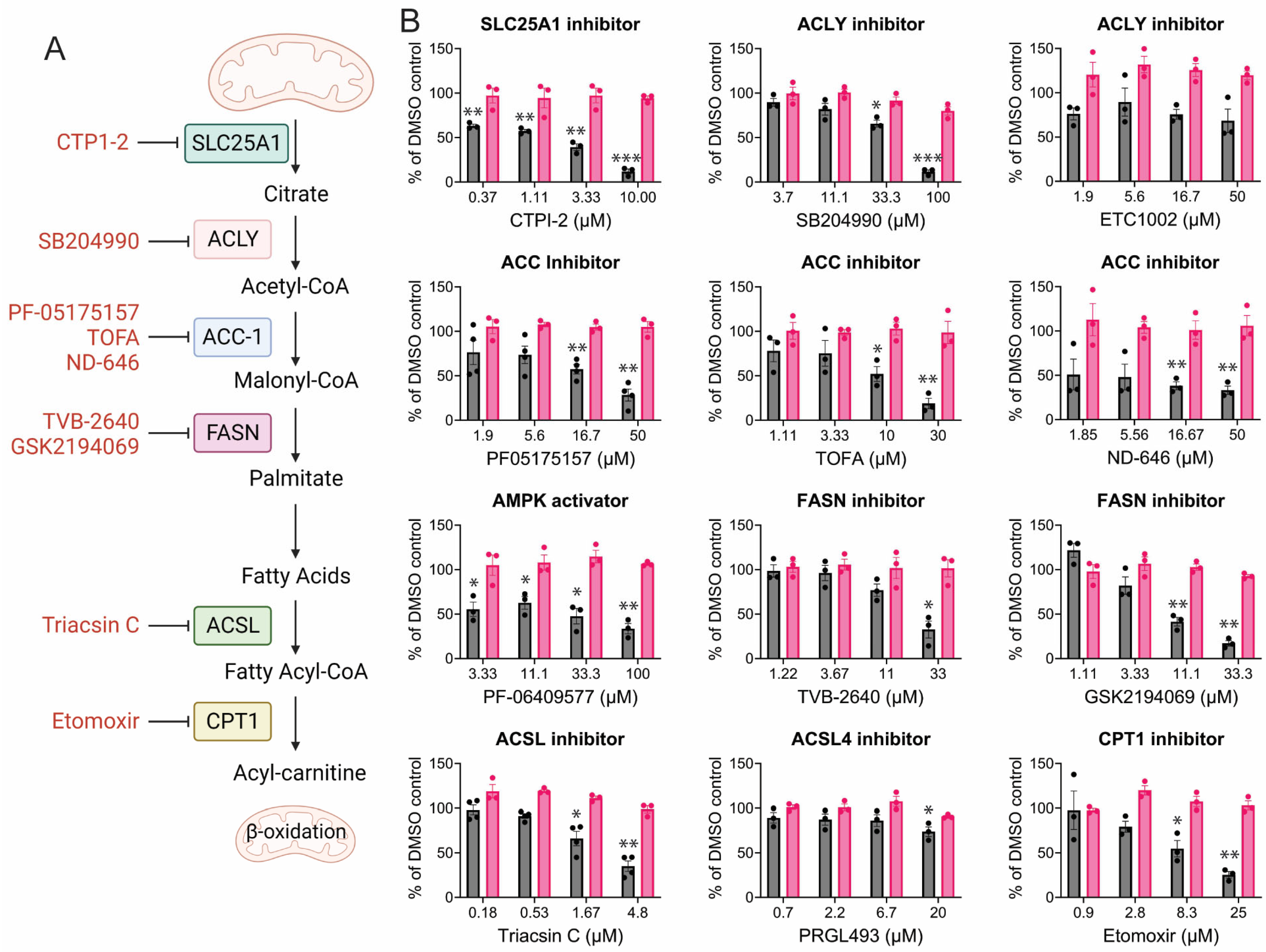 Viruses 17 00509 g004