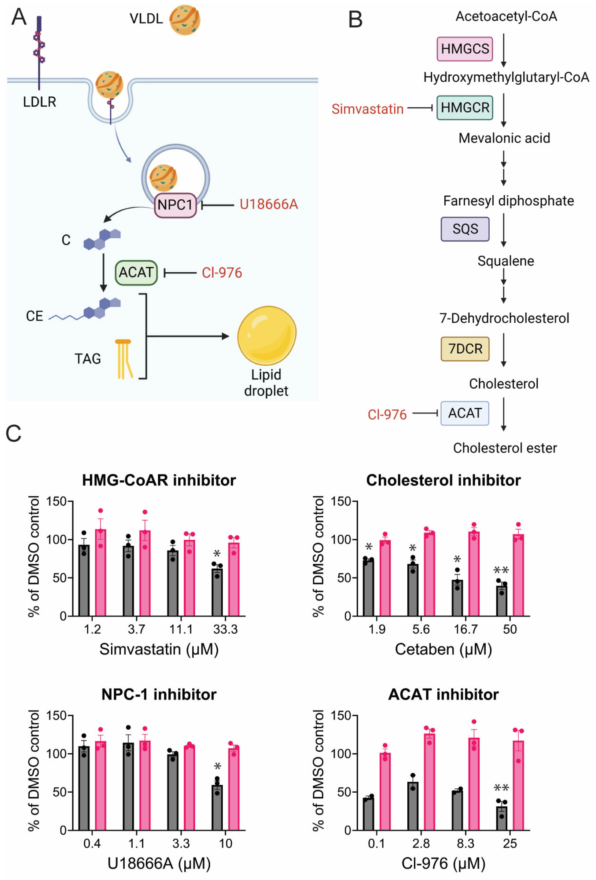 Viruses 17 00509 g007
