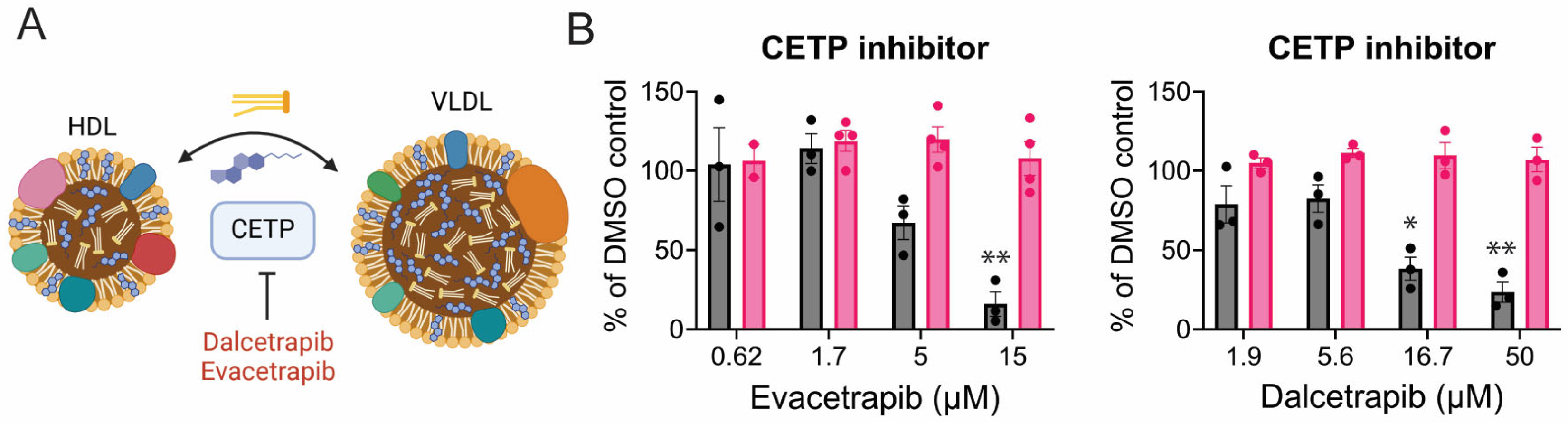 Viruses 17 00509 g008