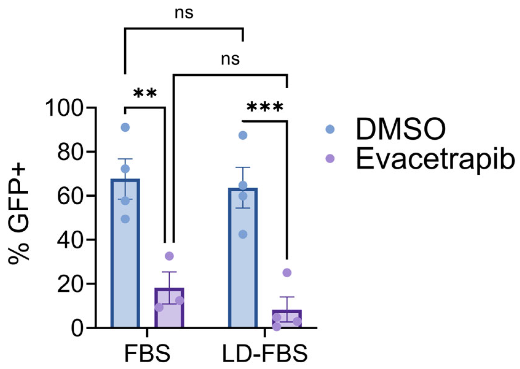 Viruses 17 00509 g011