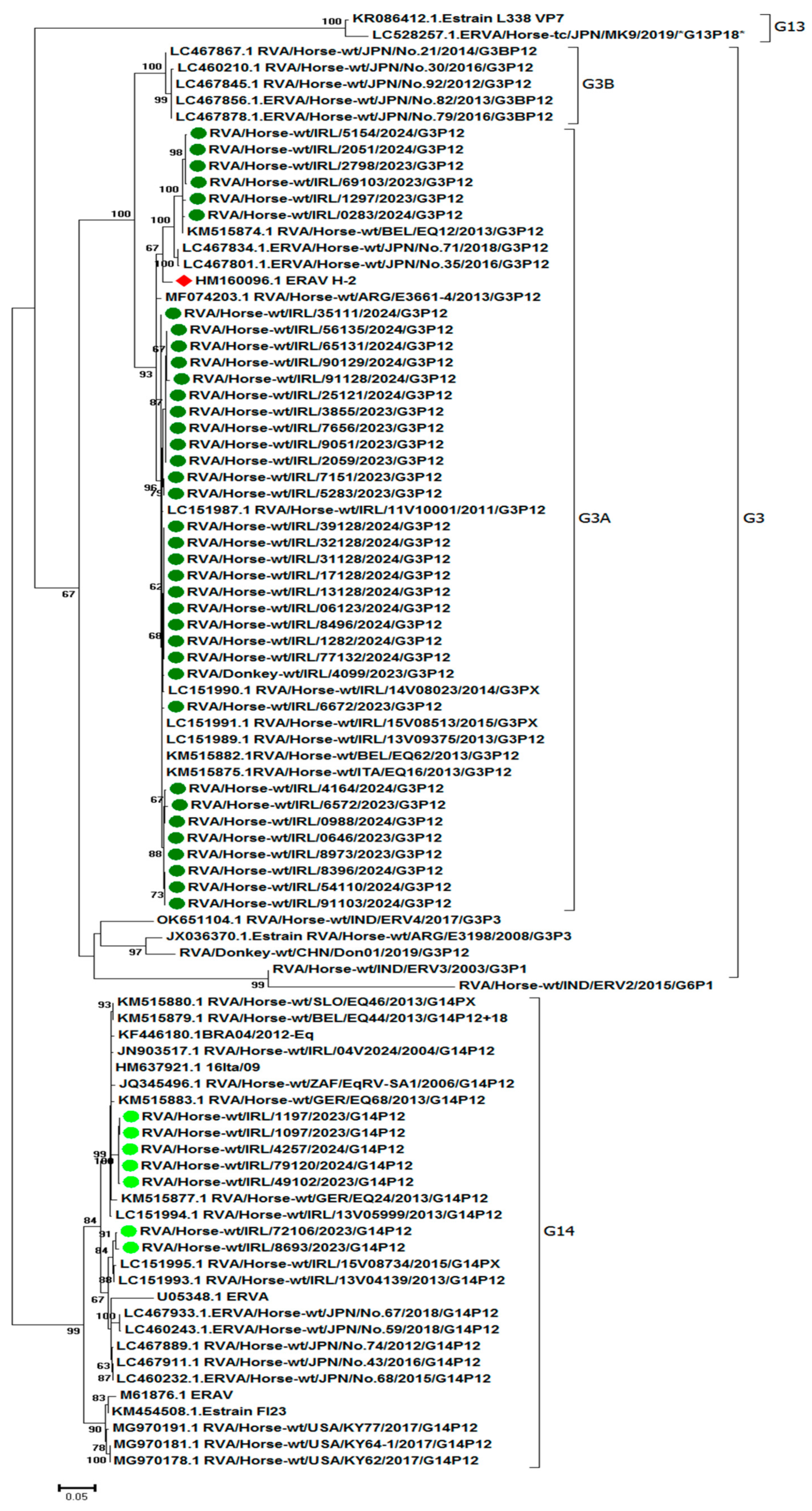 Viruses 17 00511 g001