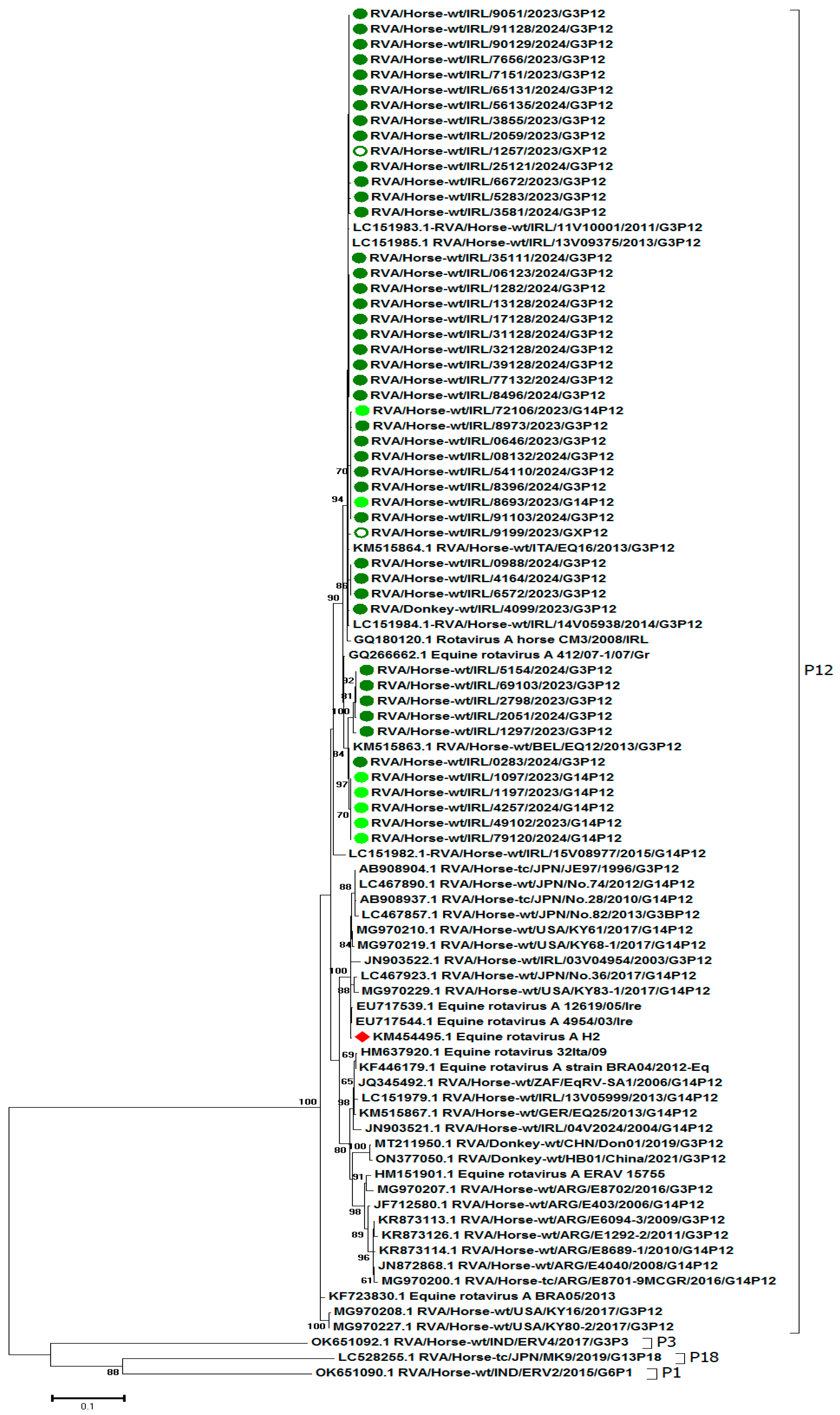 Viruses 17 00511 g002