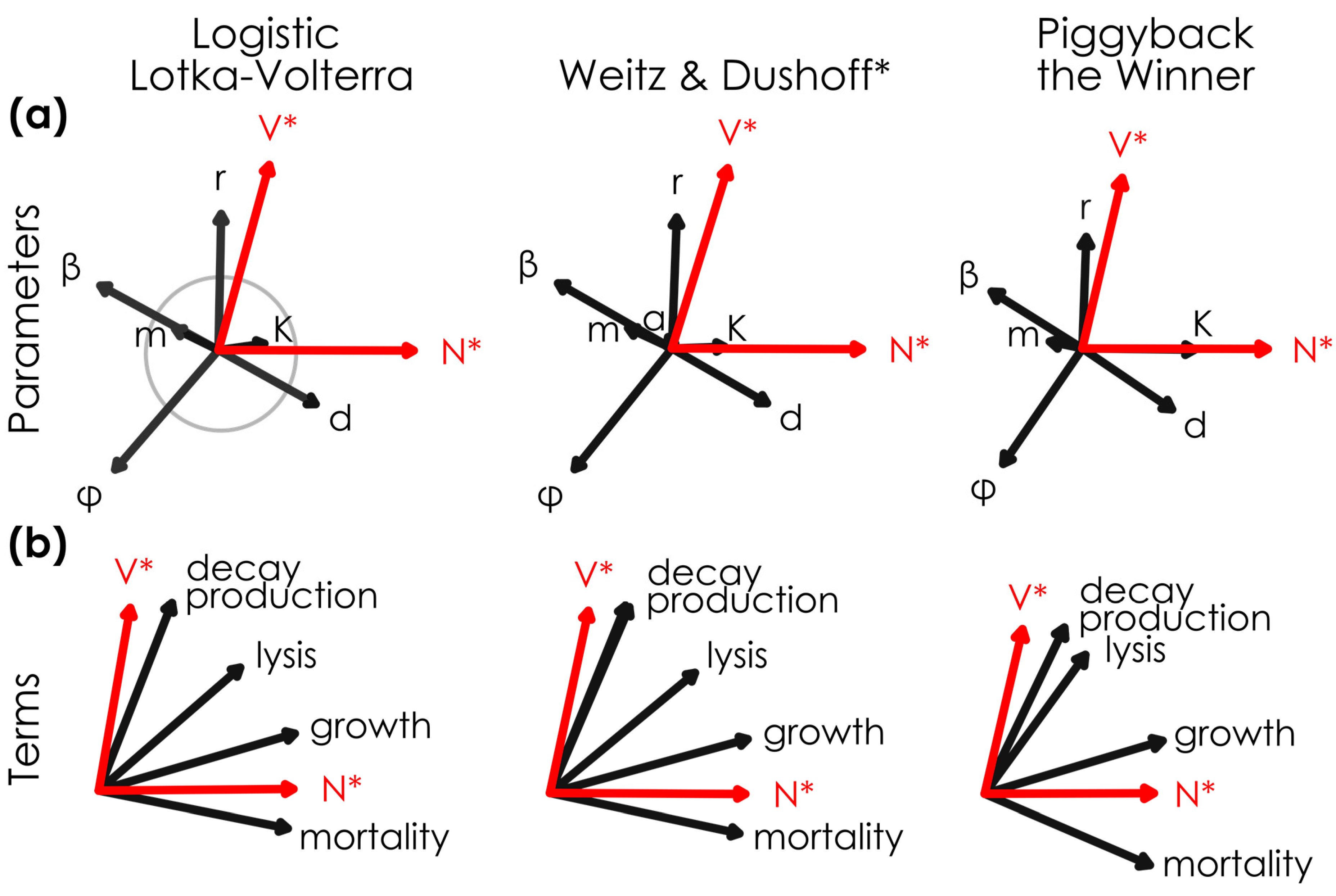 Viruses 17 00513 g001