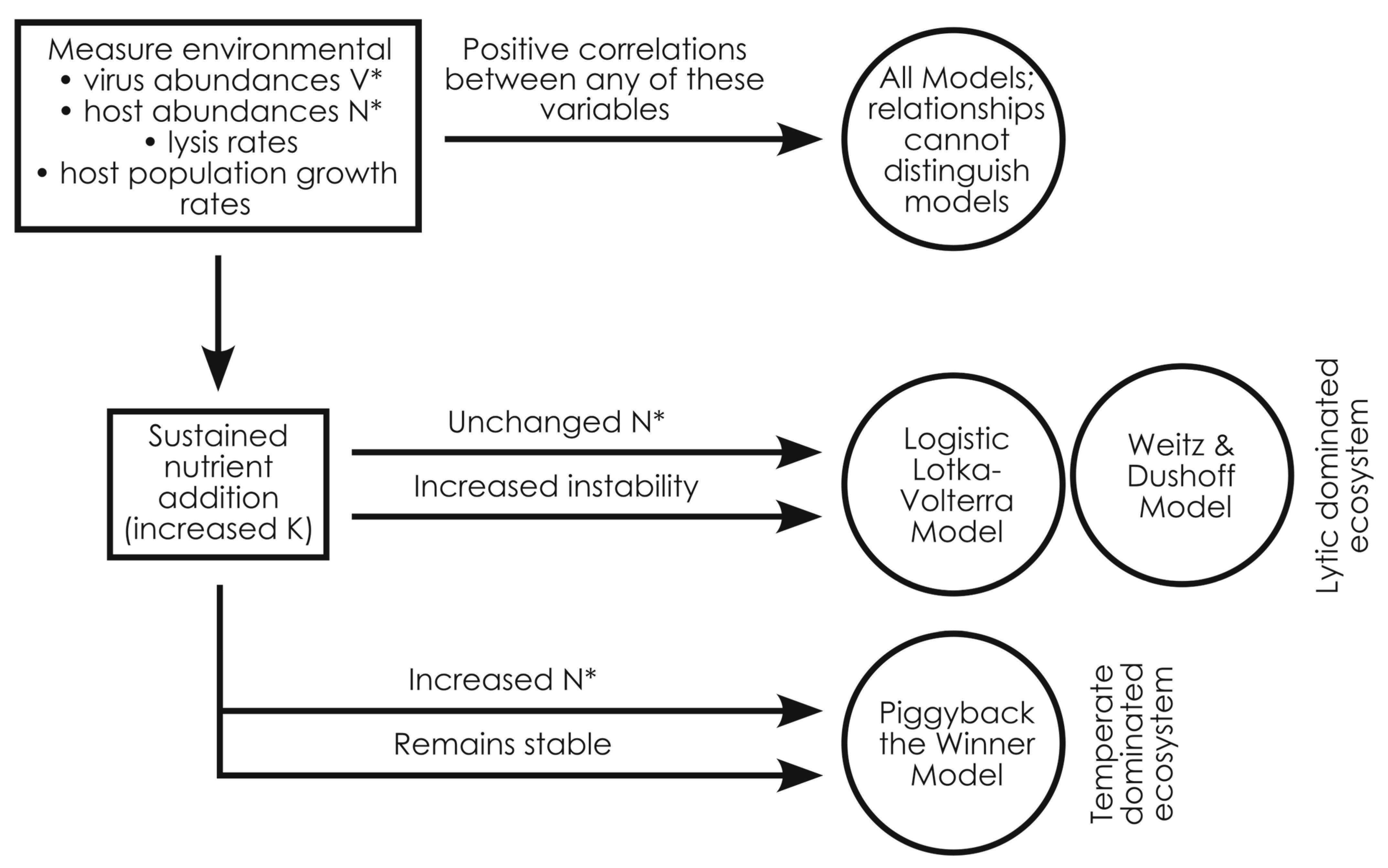 Viruses 17 00513 g005