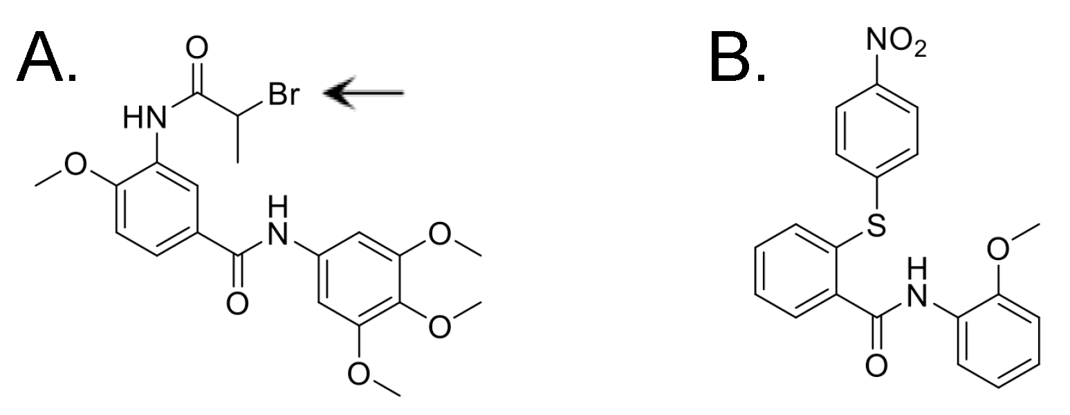 Viruses 17 00514 g001