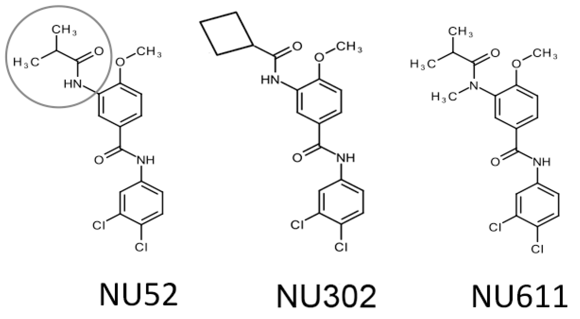 Viruses 17 00514 g003