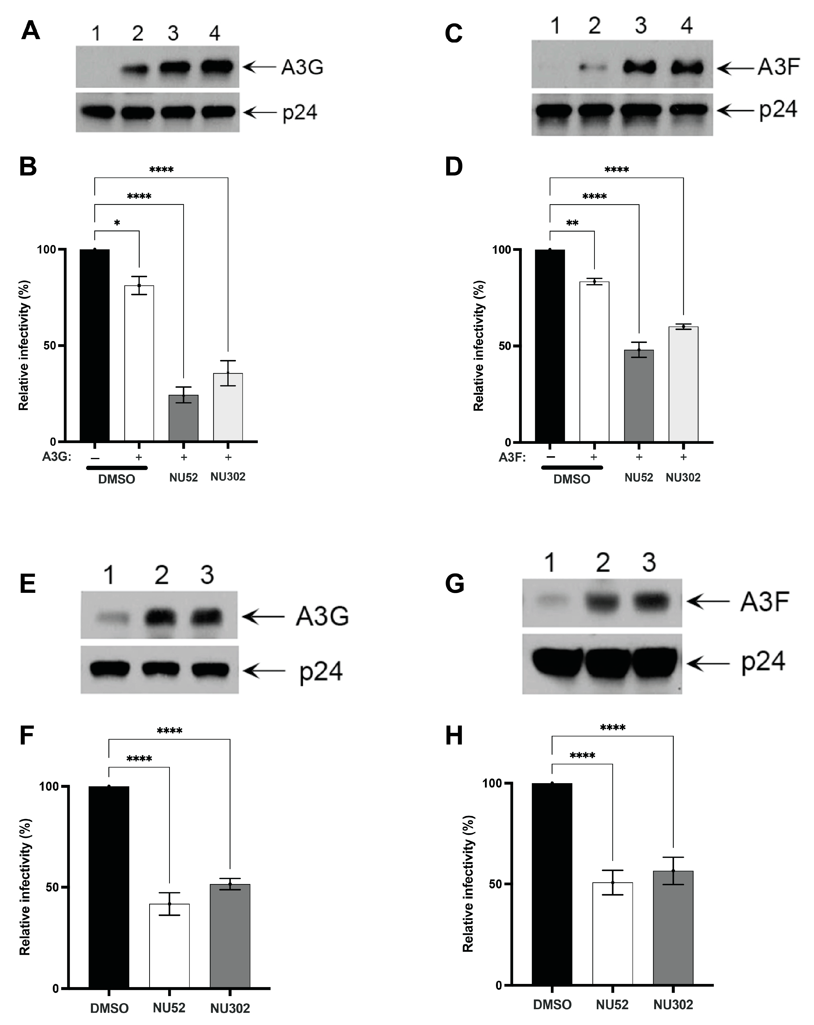 Viruses 17 00514 g005
