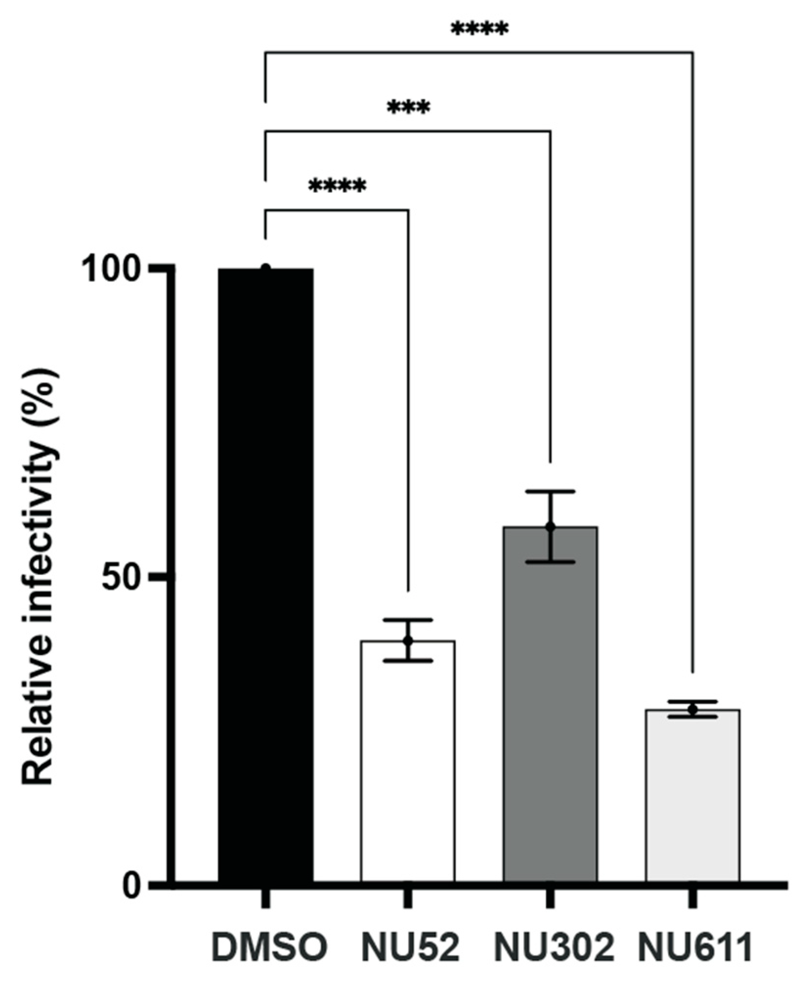 Viruses 17 00514 g007
