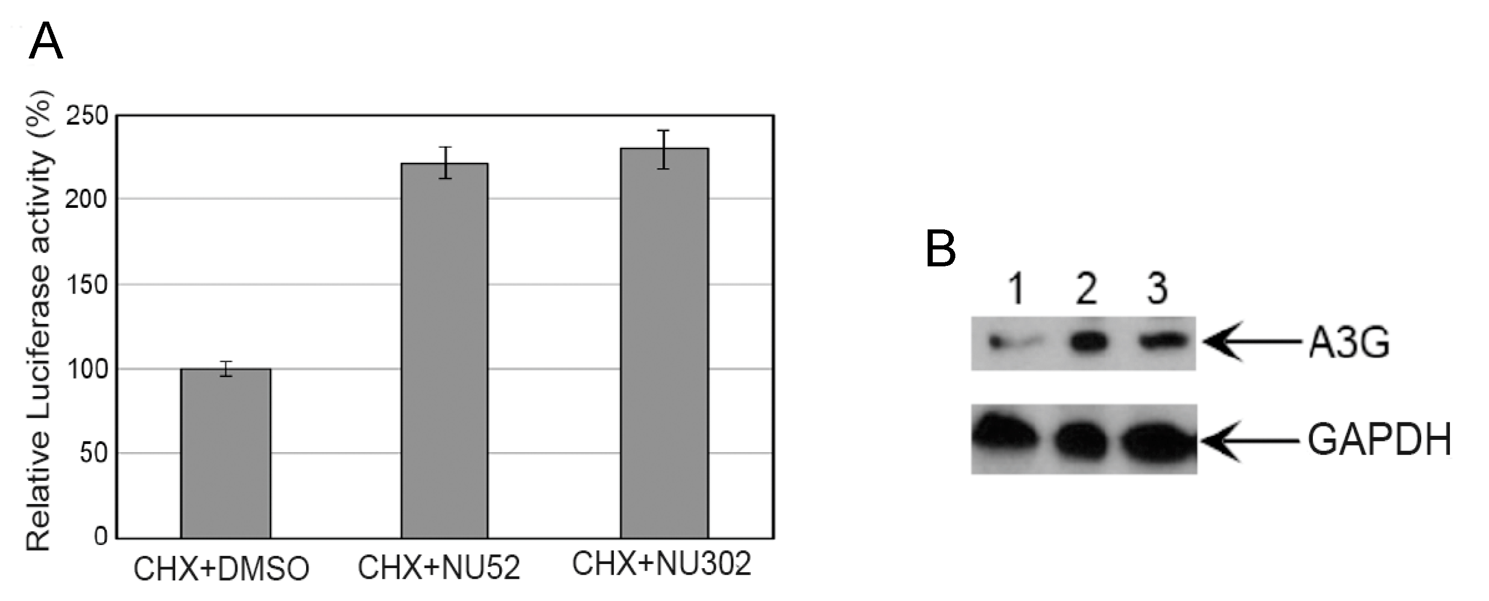 Viruses 17 00514 g008