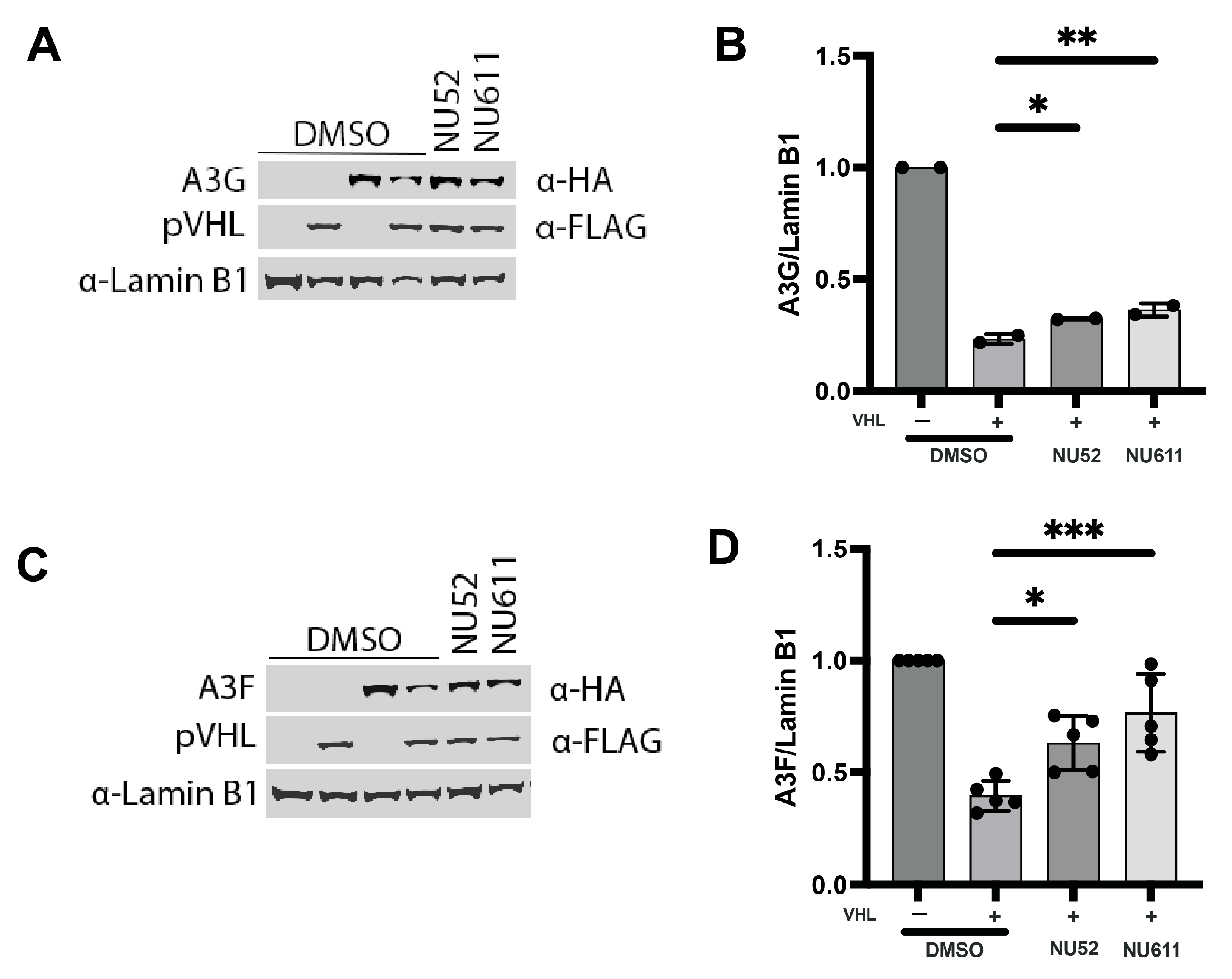 Viruses 17 00514 g009