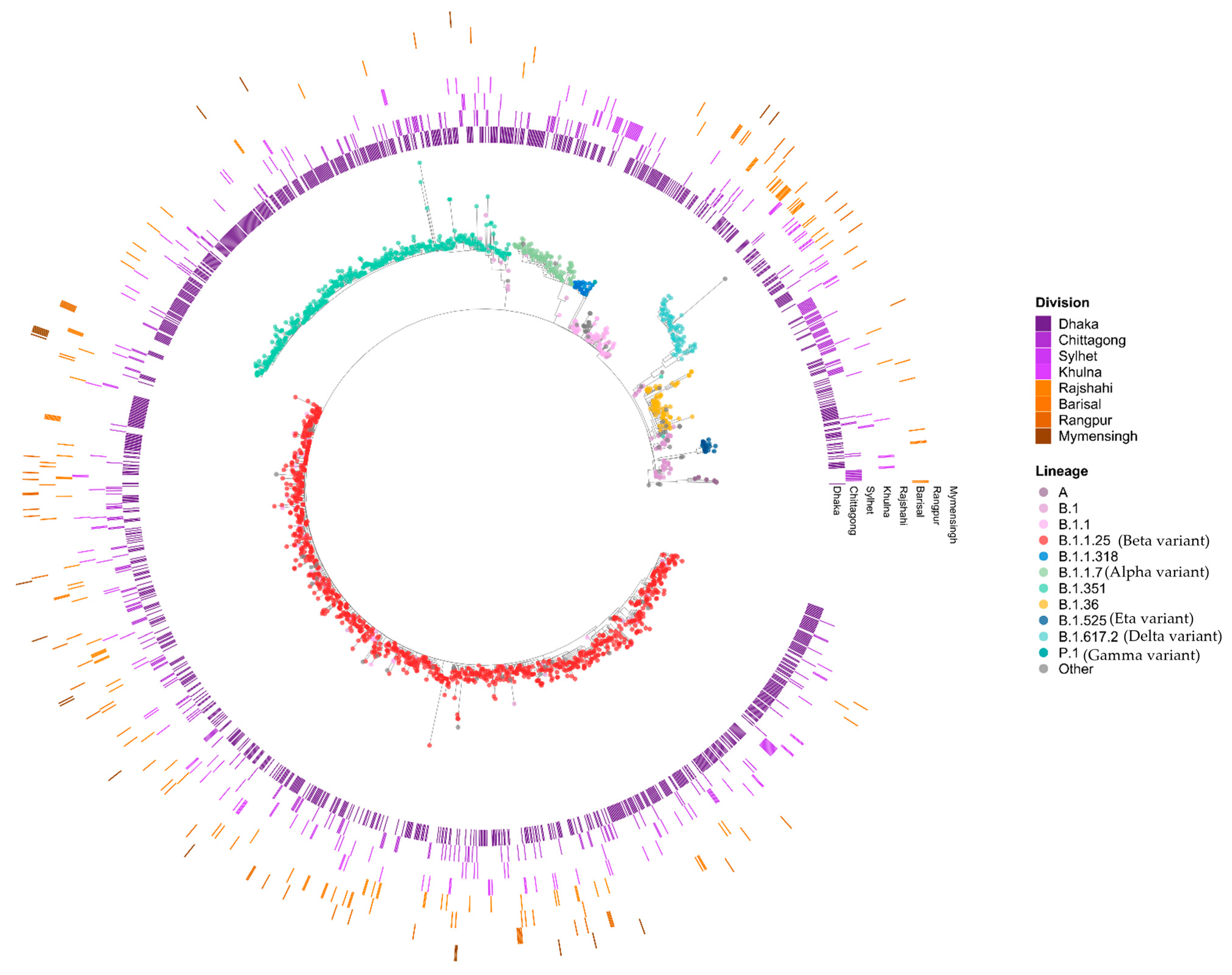 Viruses 17 00517 g002