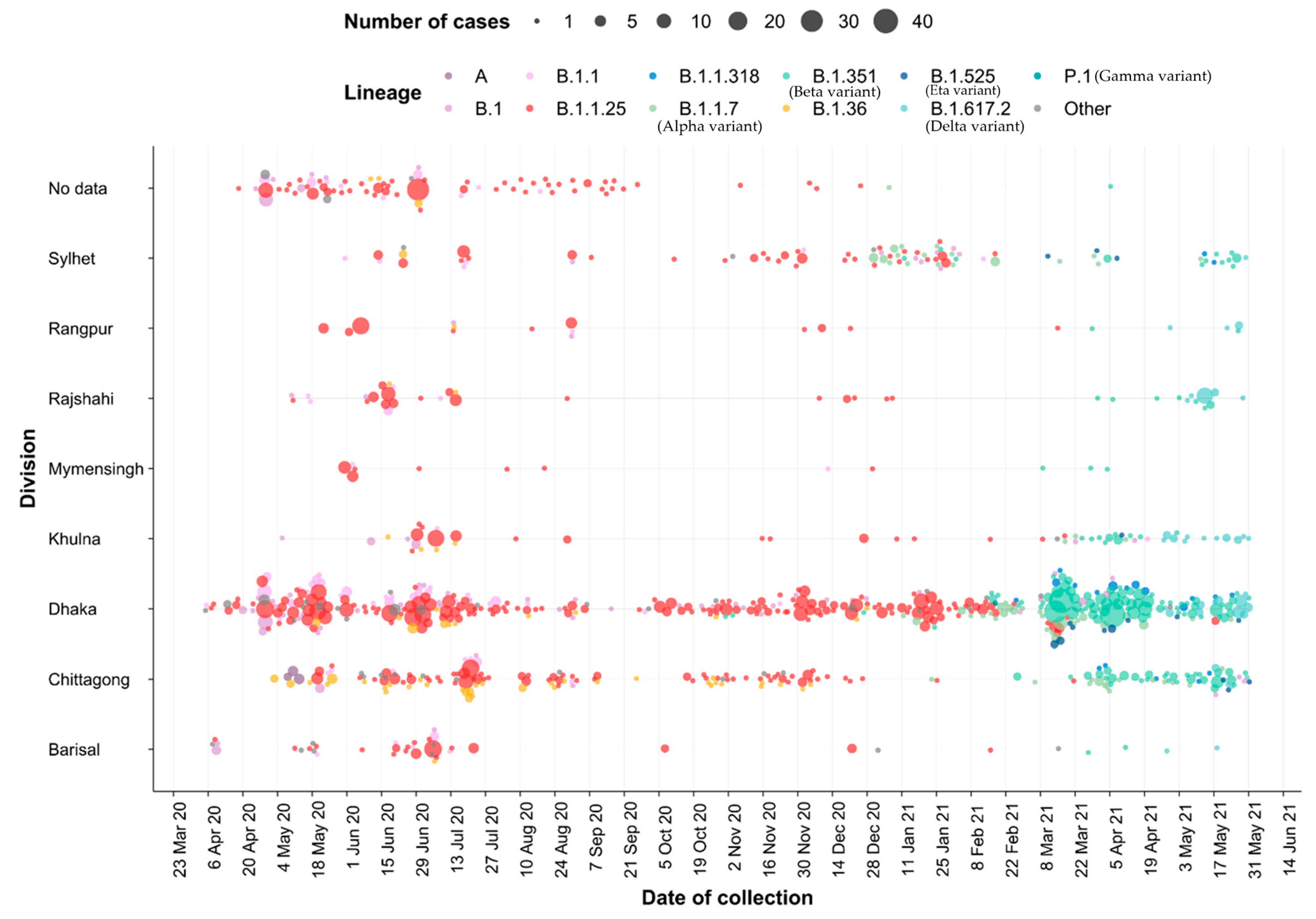 Viruses 17 00517 g004