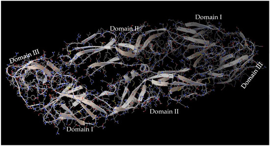 Spatial Patterns of Species Diversity of Amphibians in a