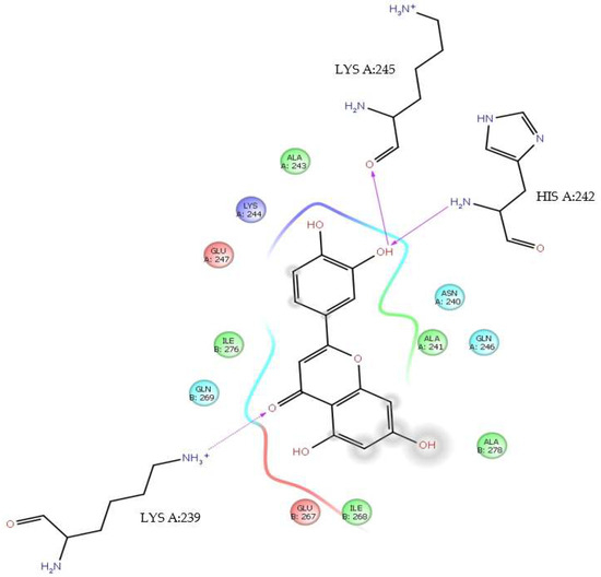 ブラインド Maa Modeling and Molecular Dynamics Studies of Flavone―DENV E-3