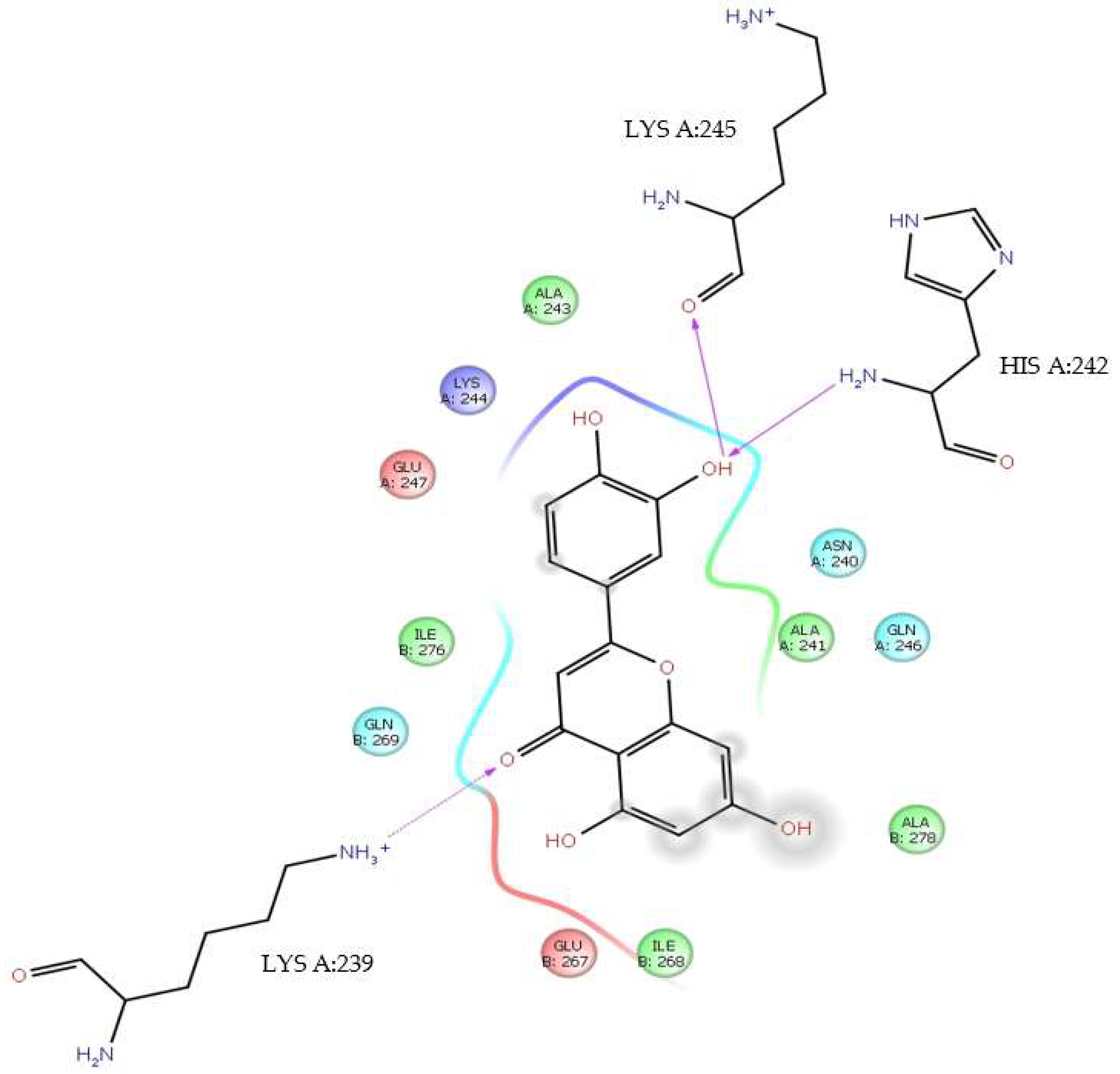 Viruses 17 00525 g005 Viruses 17 00525 g005