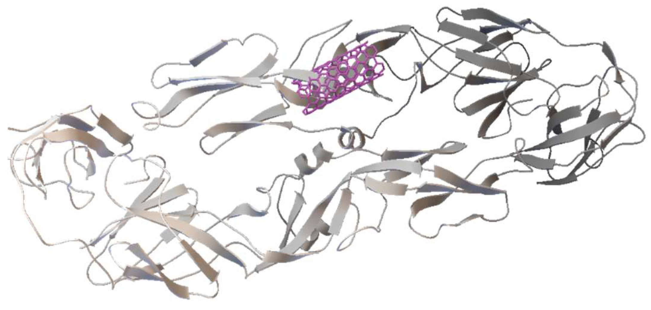 Viruses 17 00525 g009 Viruses 17 00525 g009