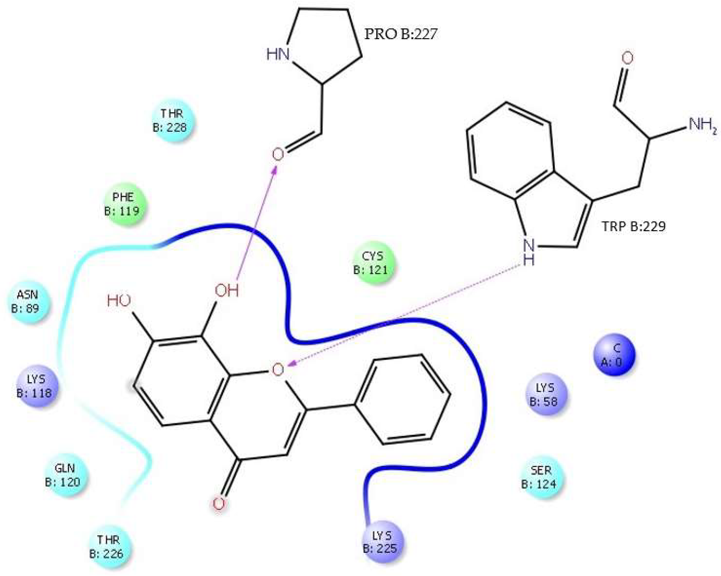 Viruses 17 00525 g011 Viruses 17 00525 g011