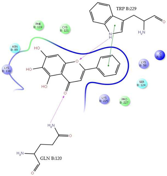 Modeling and Molecular Dynamics Studies of Flavone―DENV E-3