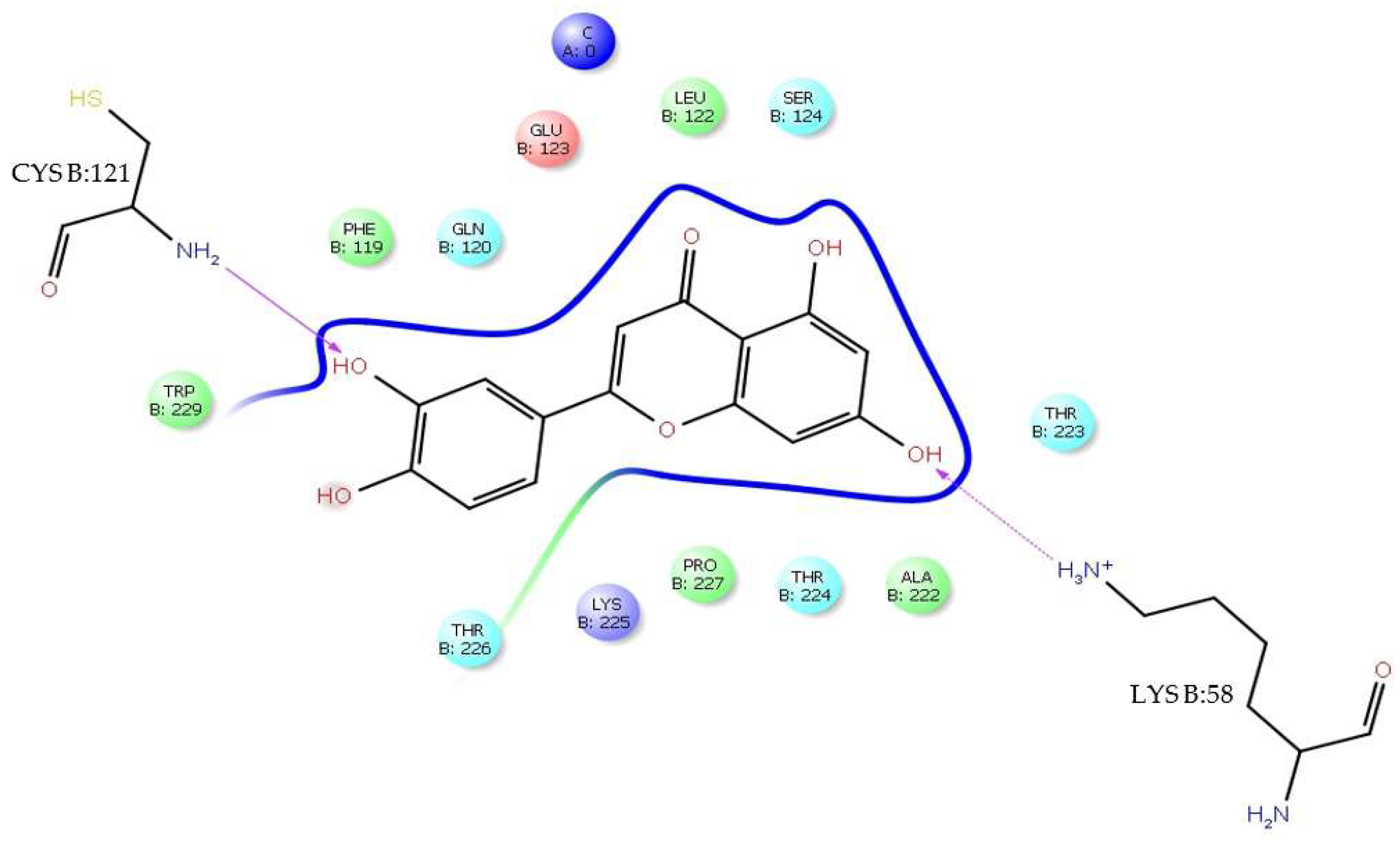 Viruses 17 00525 g015 Viruses 17 00525 g015