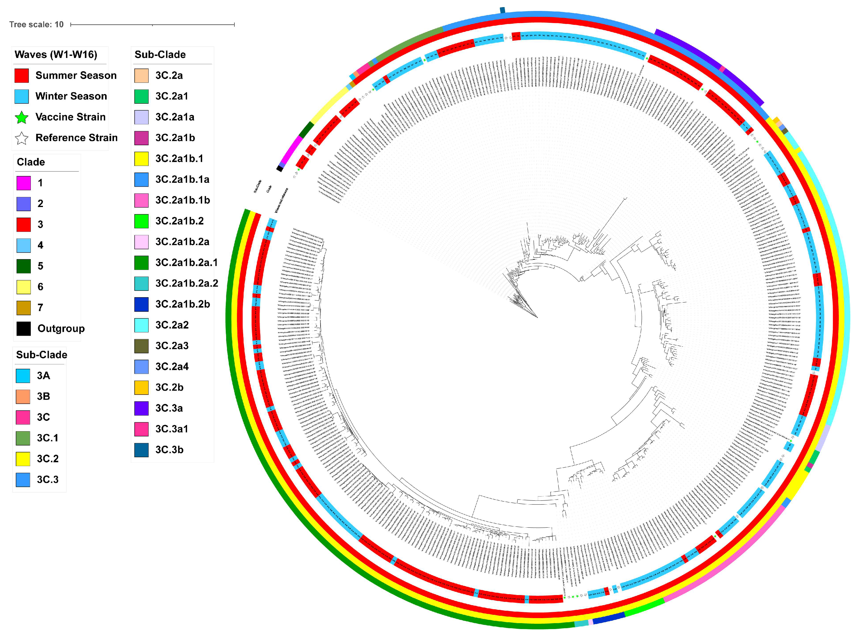 Viruses 17 00526 g002 Viruses 17 00526 g002