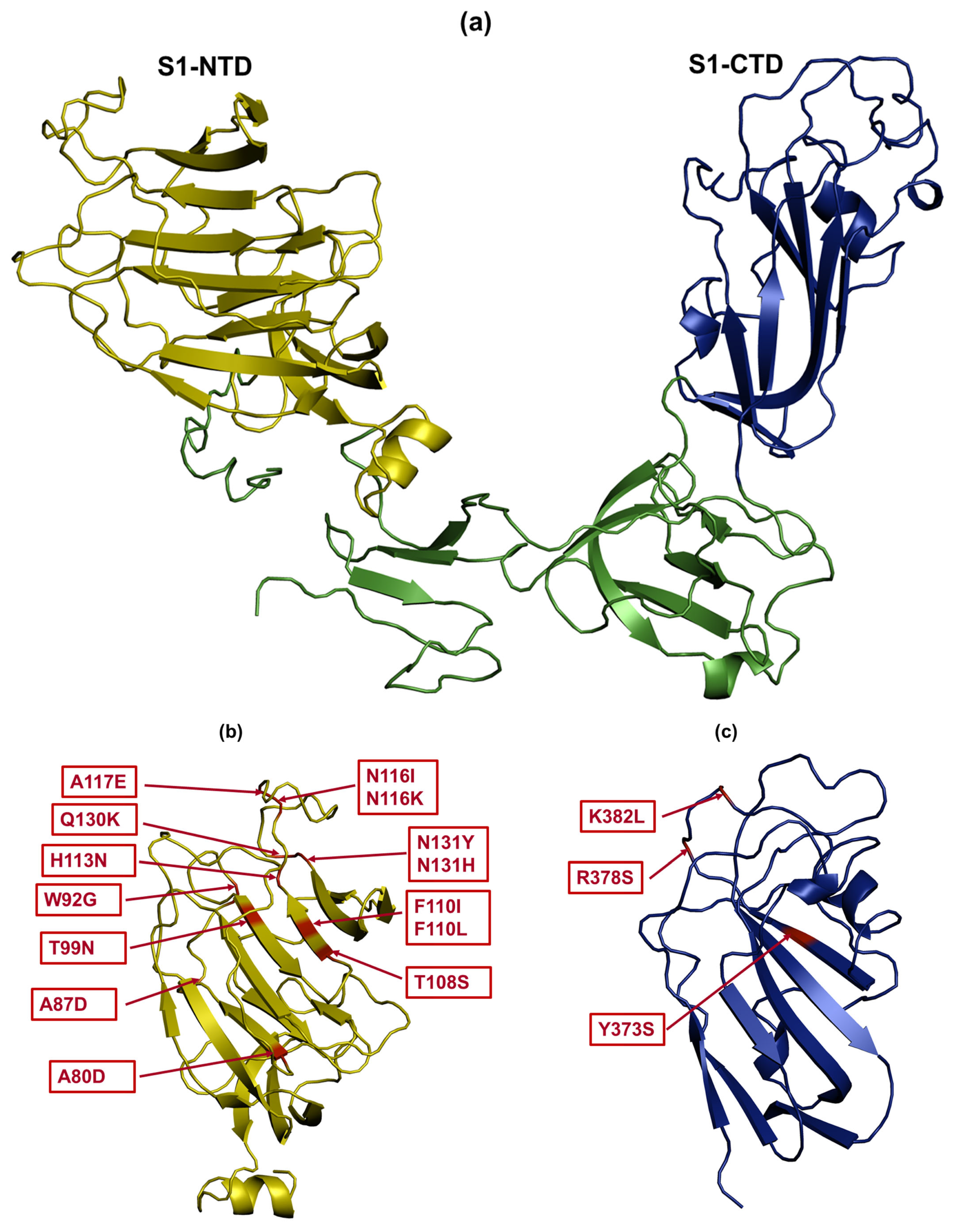 Viruses 17 00527 g005