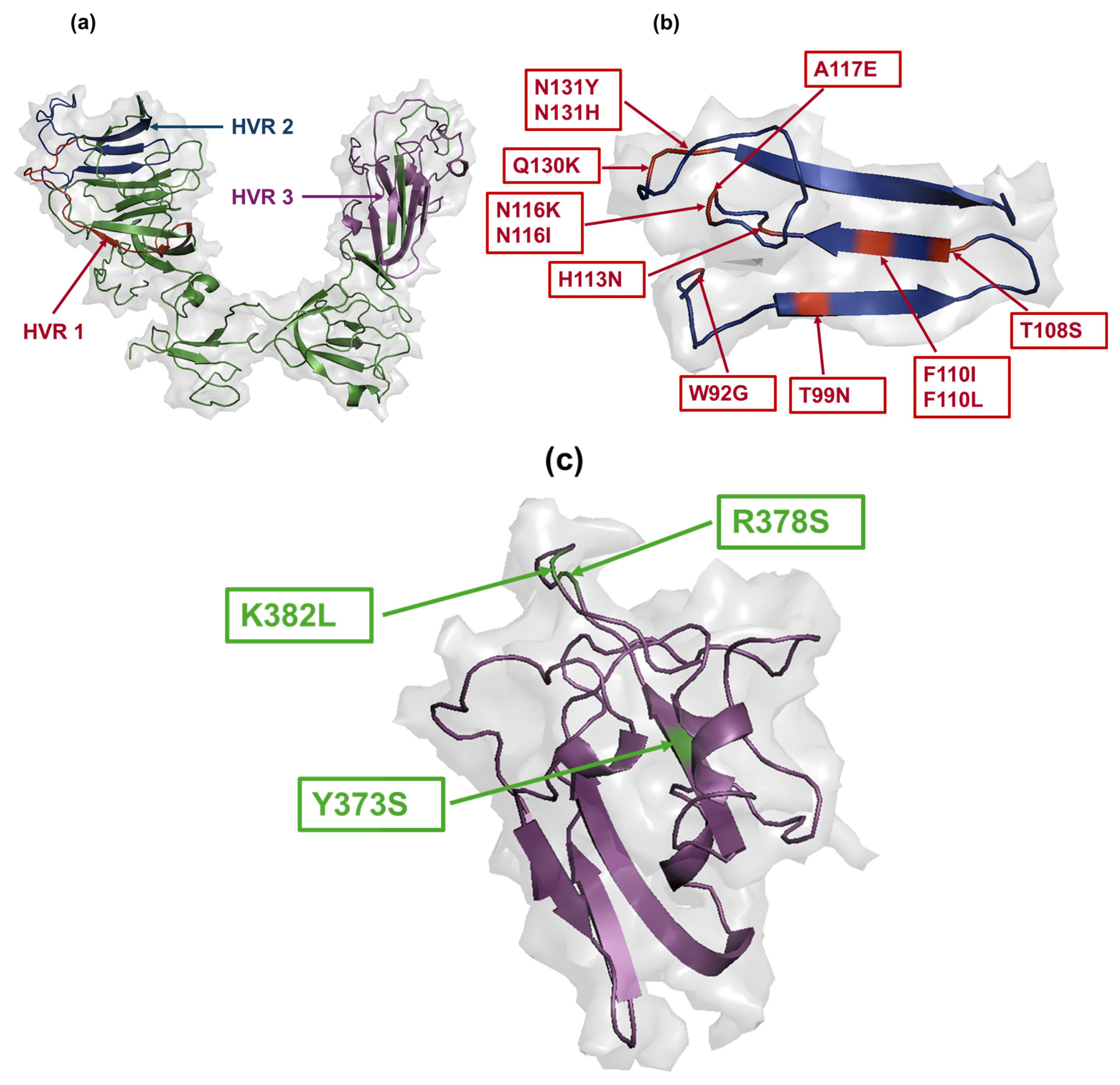 Viruses 17 00527 g006