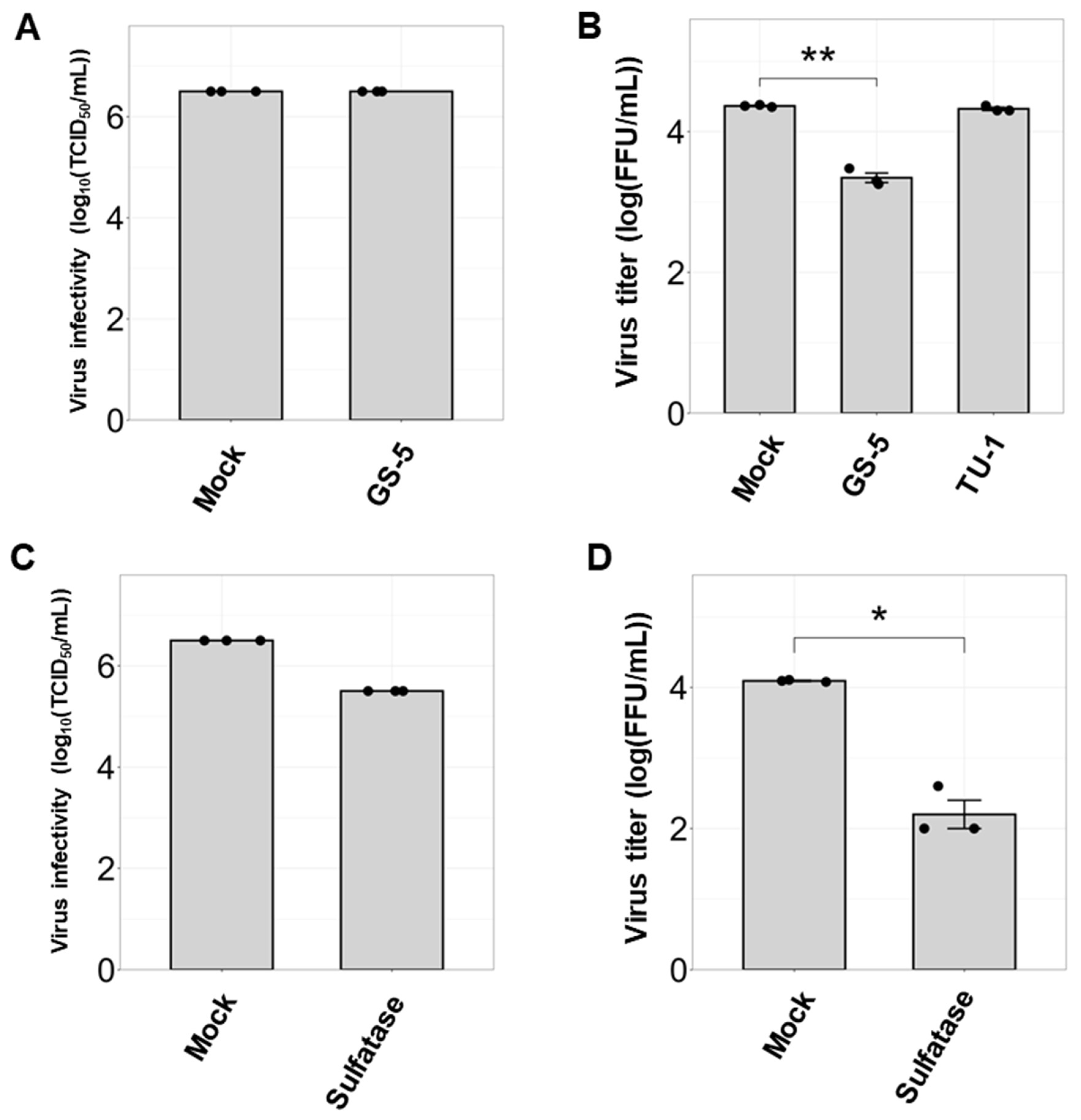 Viruses 17 00530 g004 Viruses 17 00530 g004