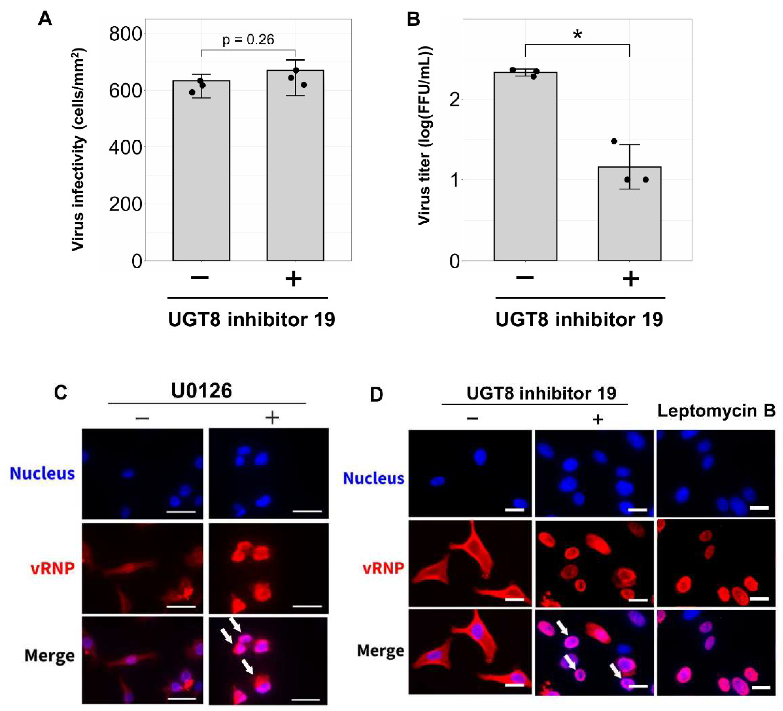 Viruses 17 00530 g005 Viruses 17 00530 g005