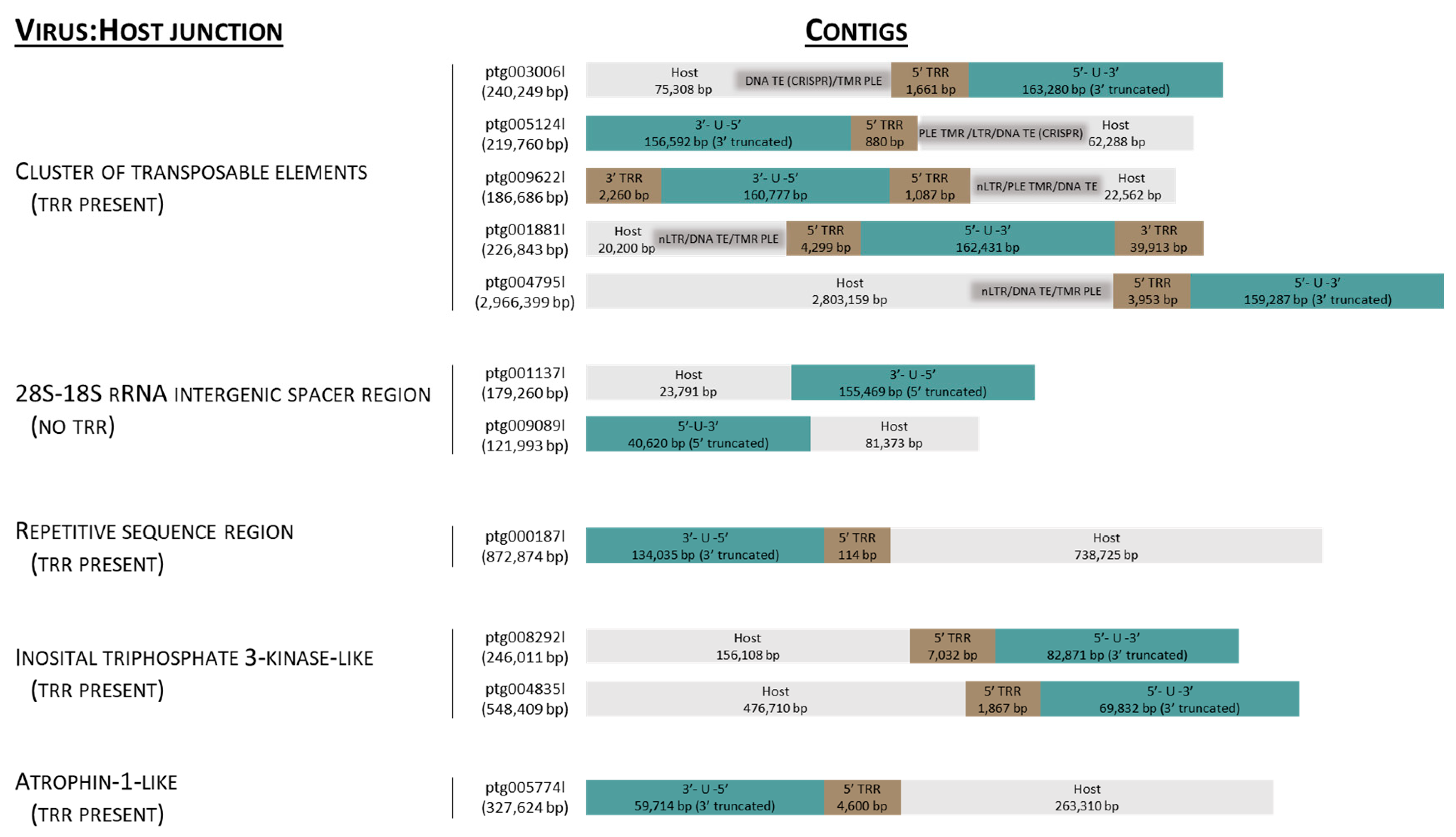Viruses 17 00534 g002