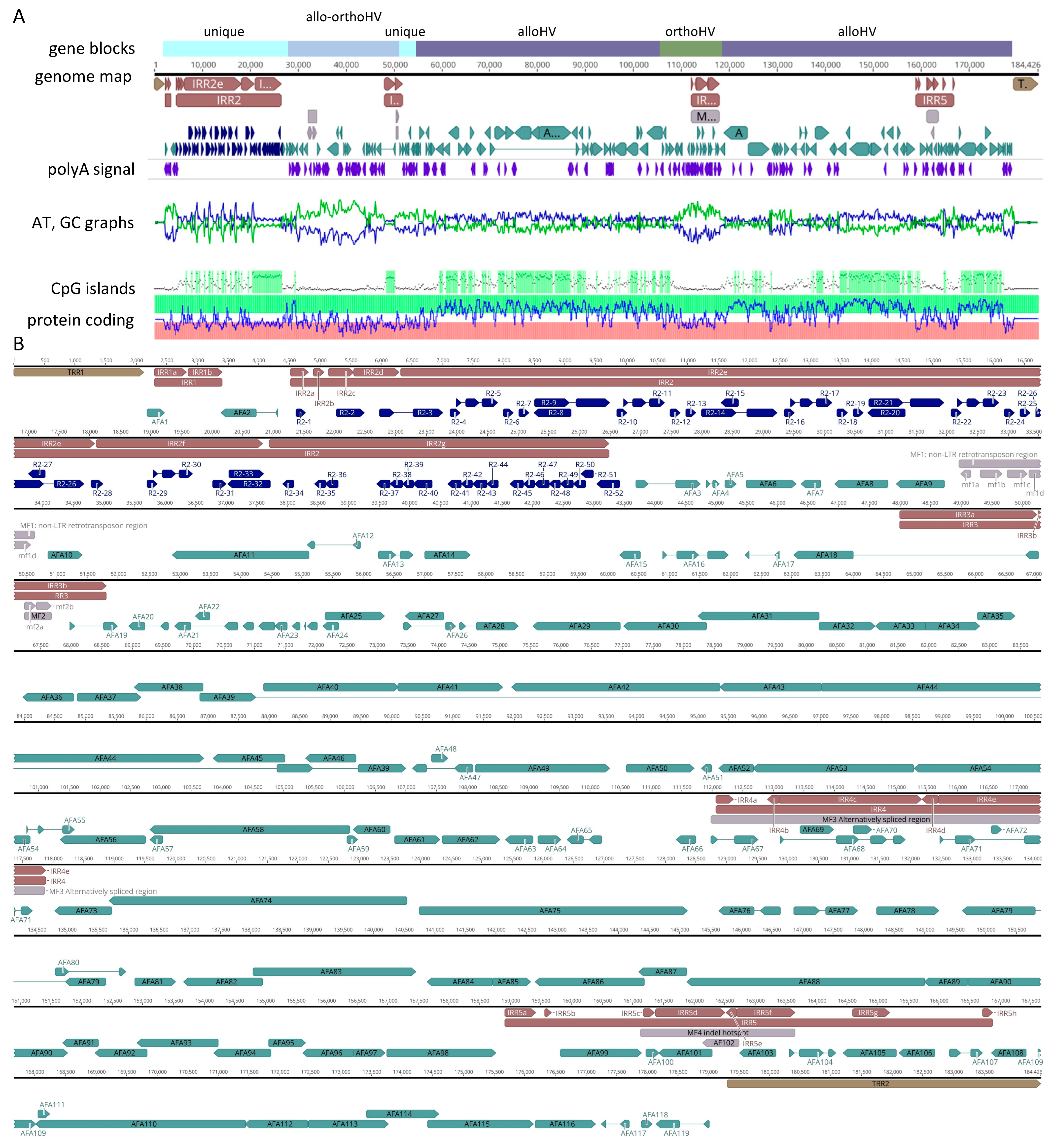 Viruses 17 00534 g004
