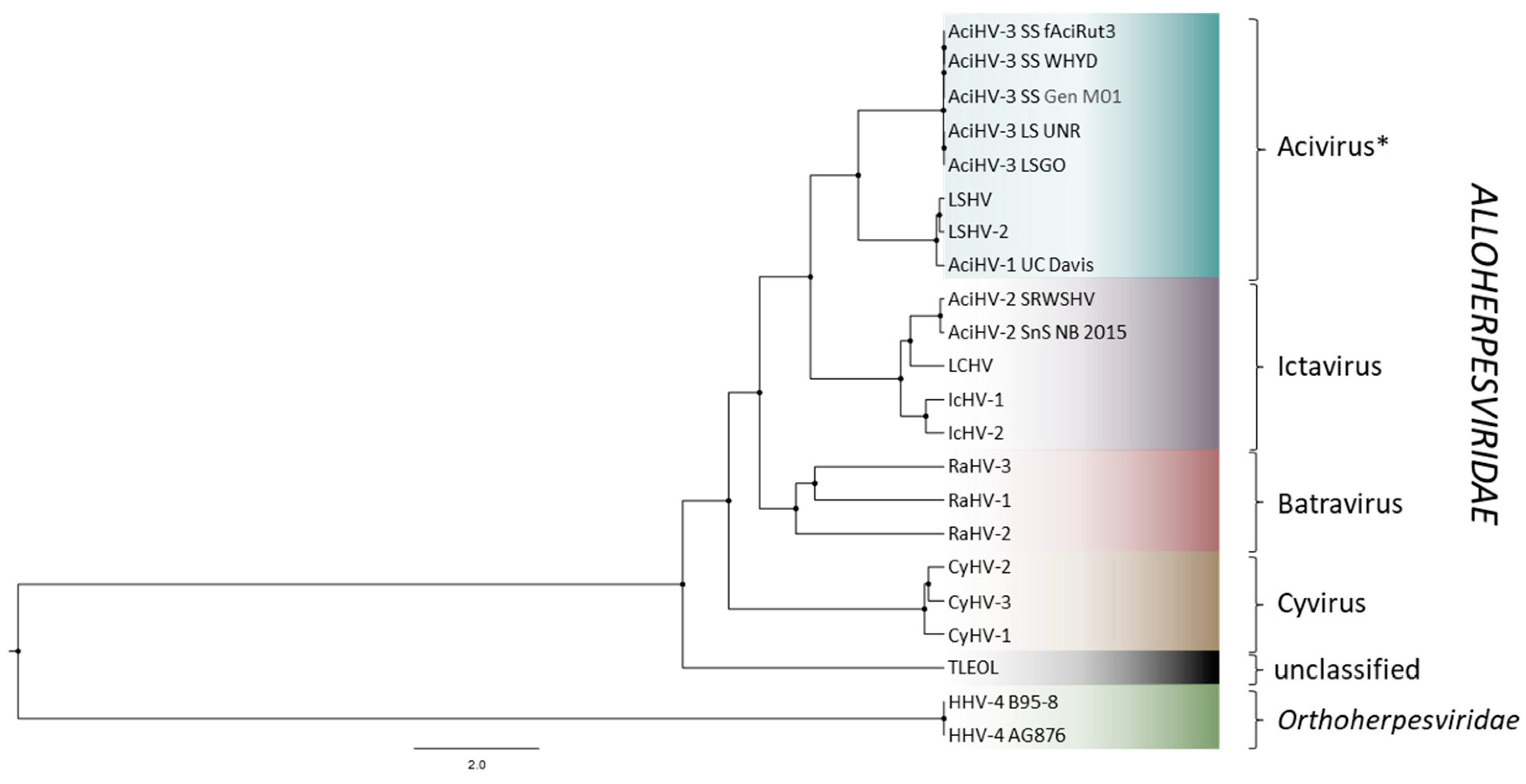 Viruses 17 00534 g007