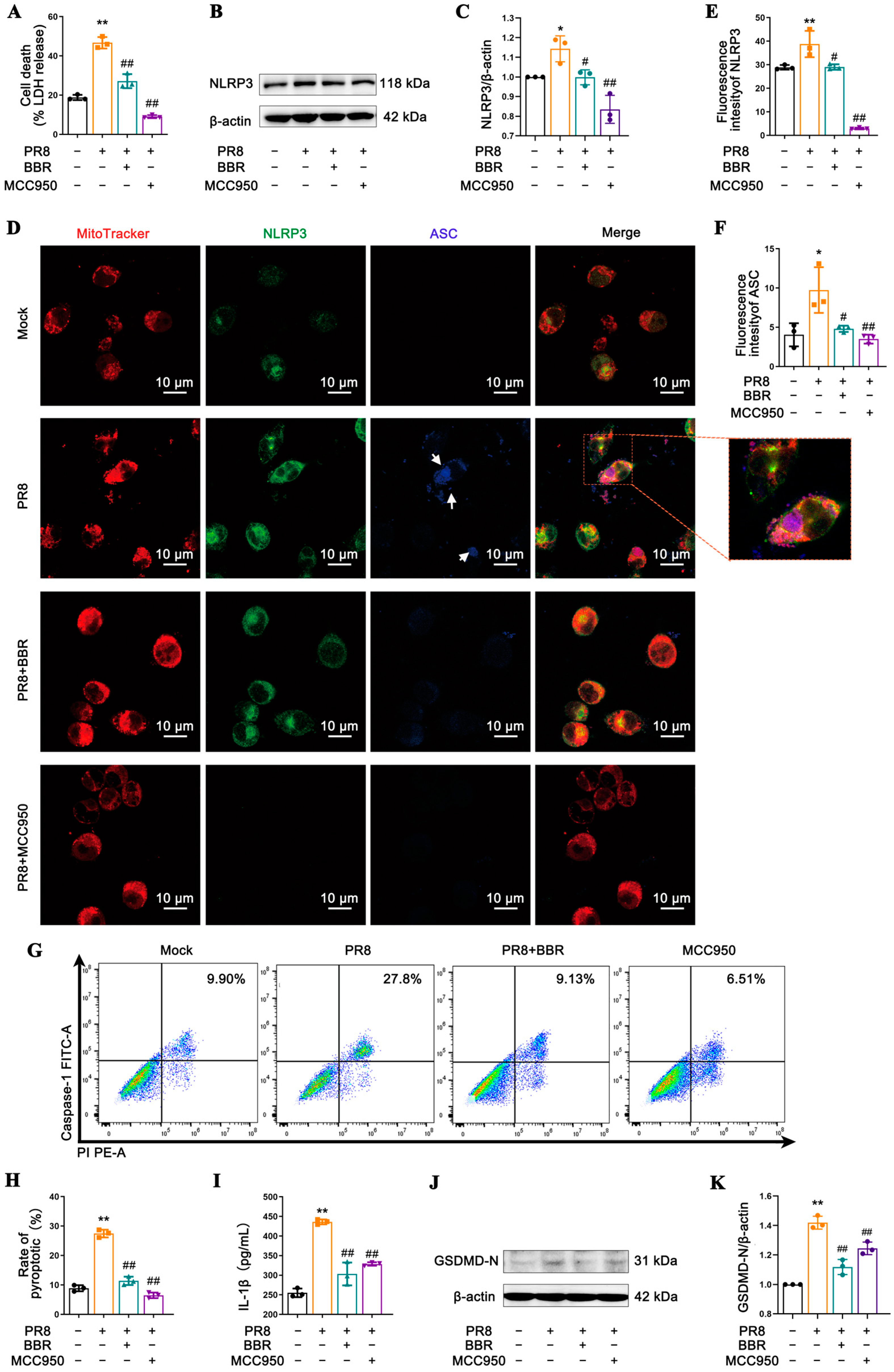 Viruses 17 00539 g003