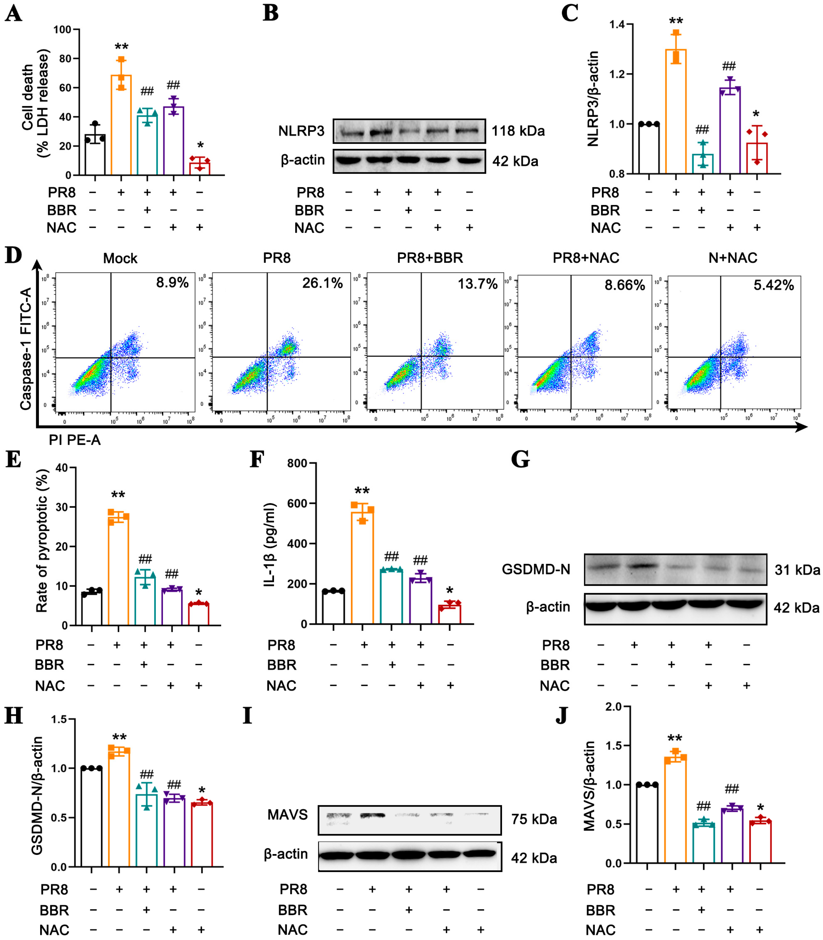 Viruses 17 00539 g006