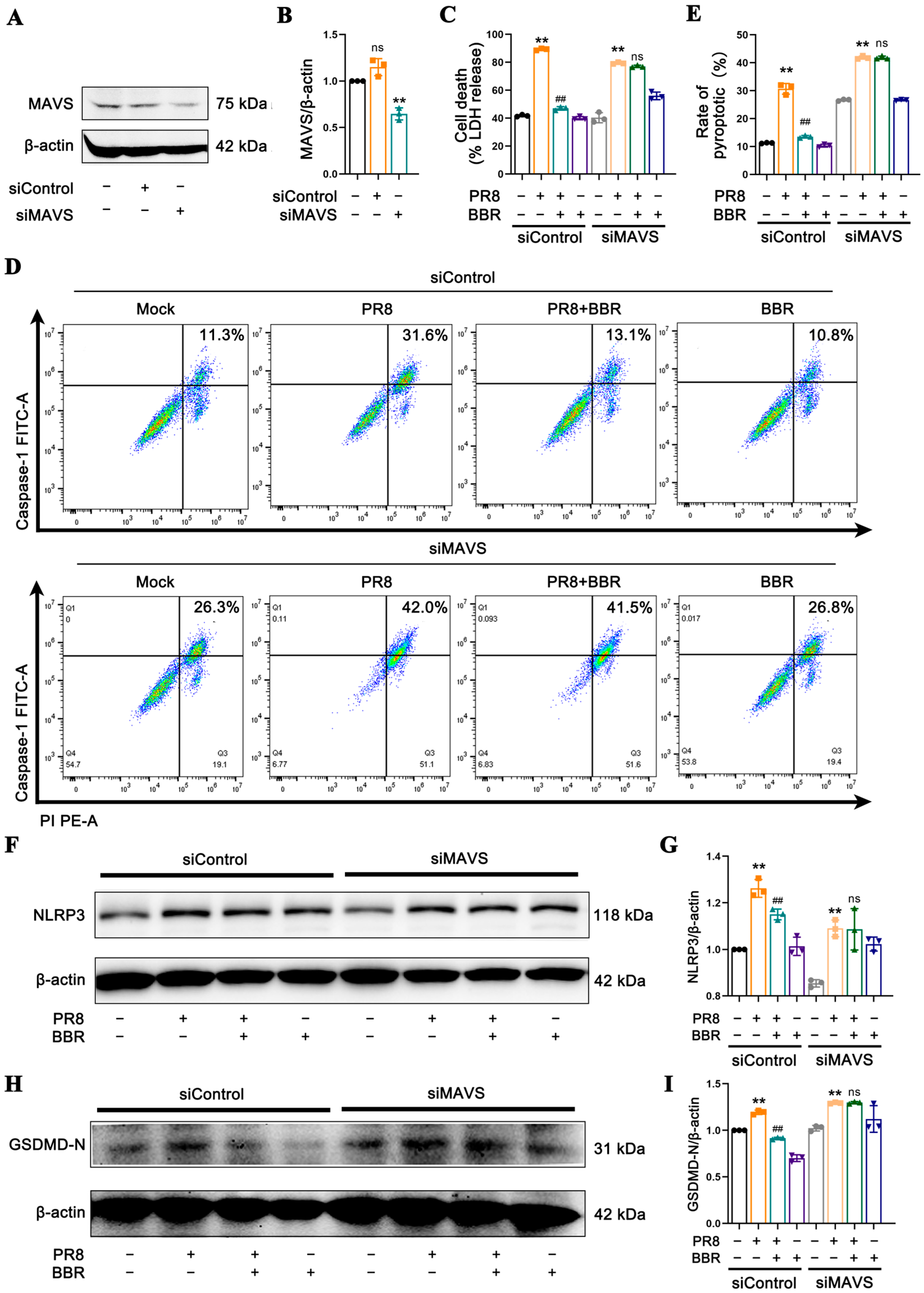 Viruses 17 00539 g007