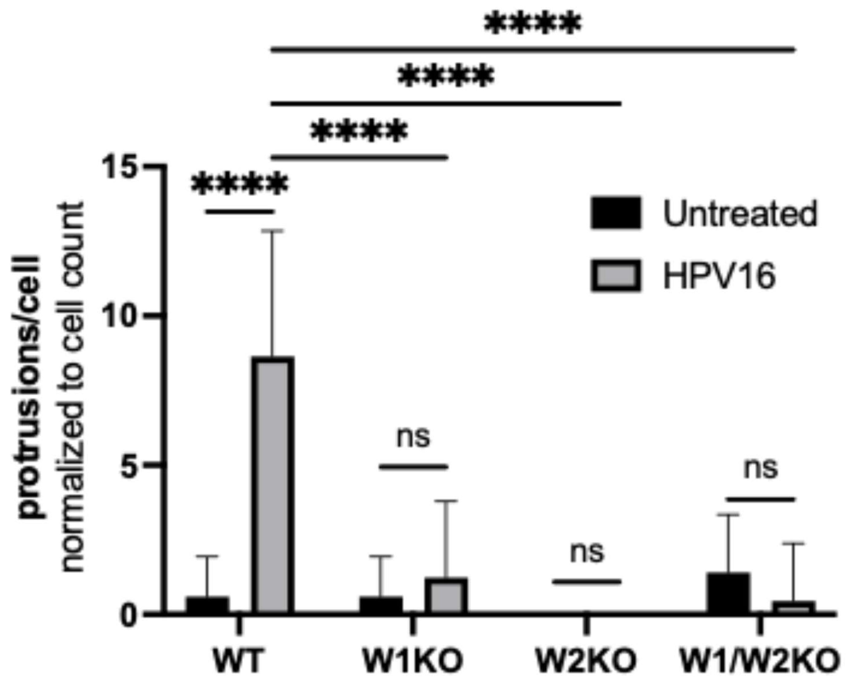 Viruses 17 00542 g008