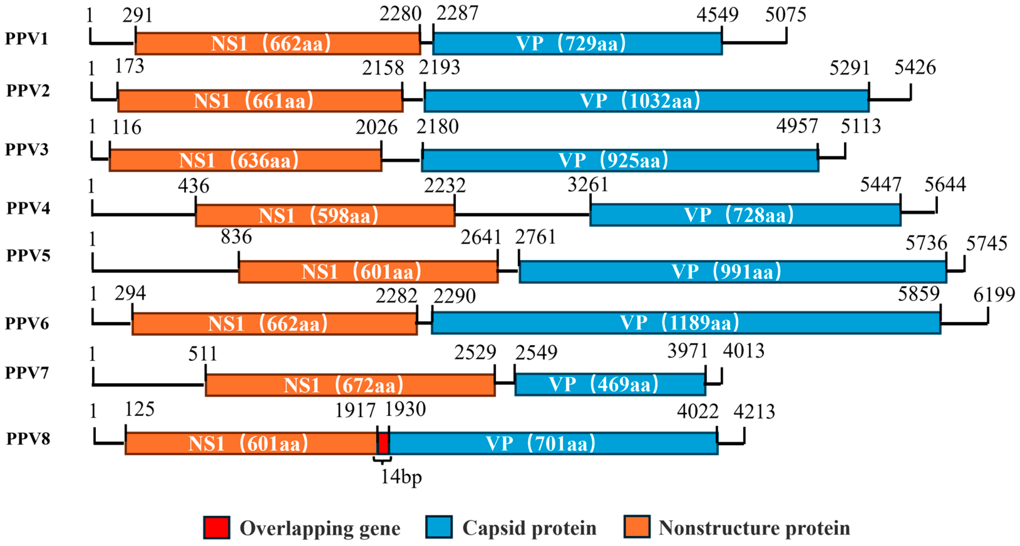 Viruses 17 00543 g001