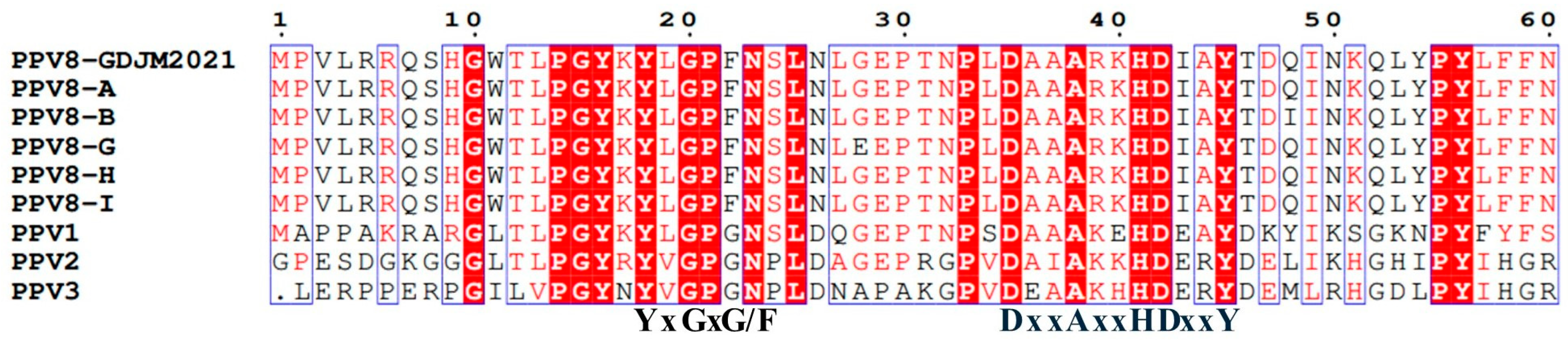 Viruses 17 00543 g003