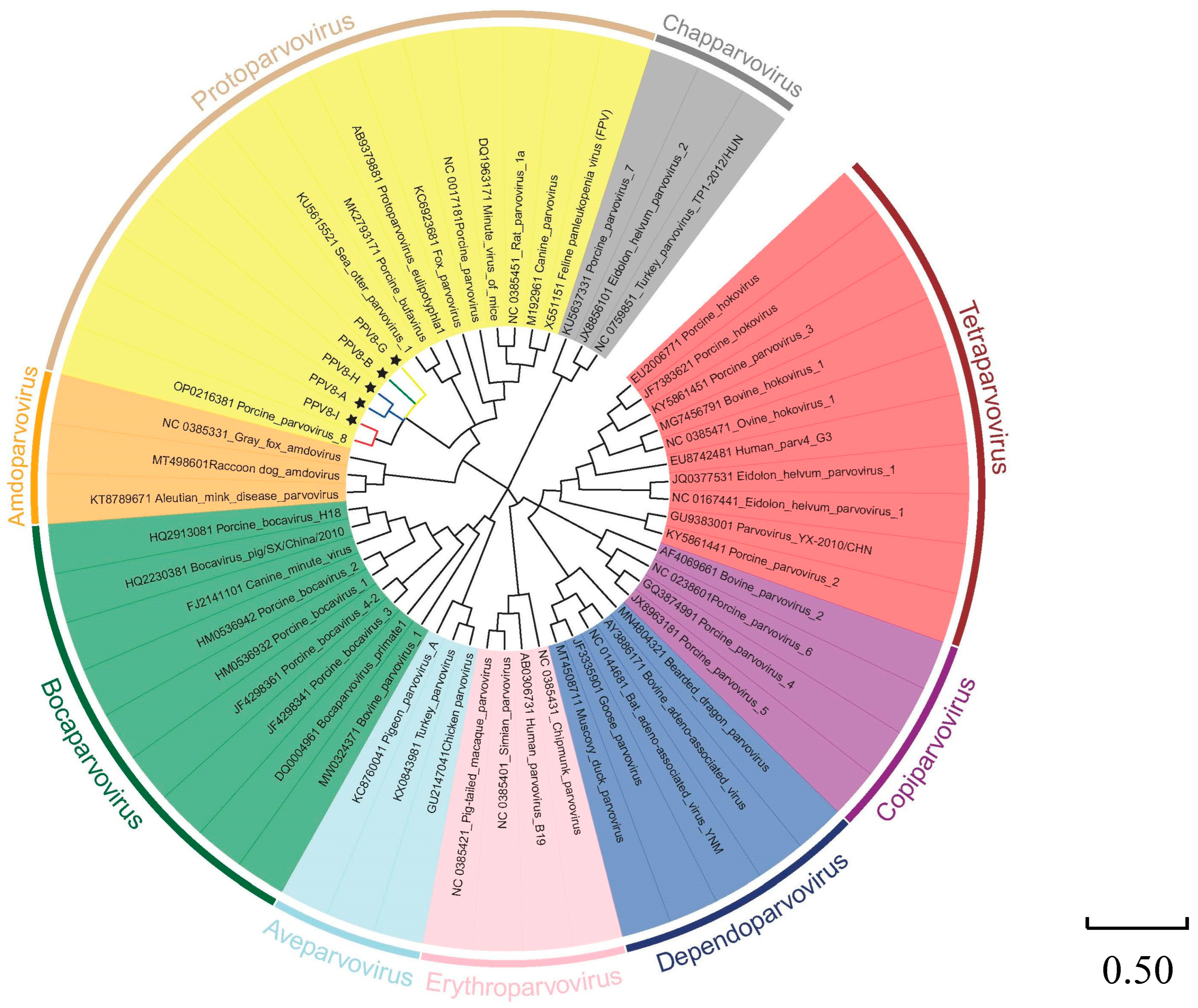 Viruses 17 00543 g004