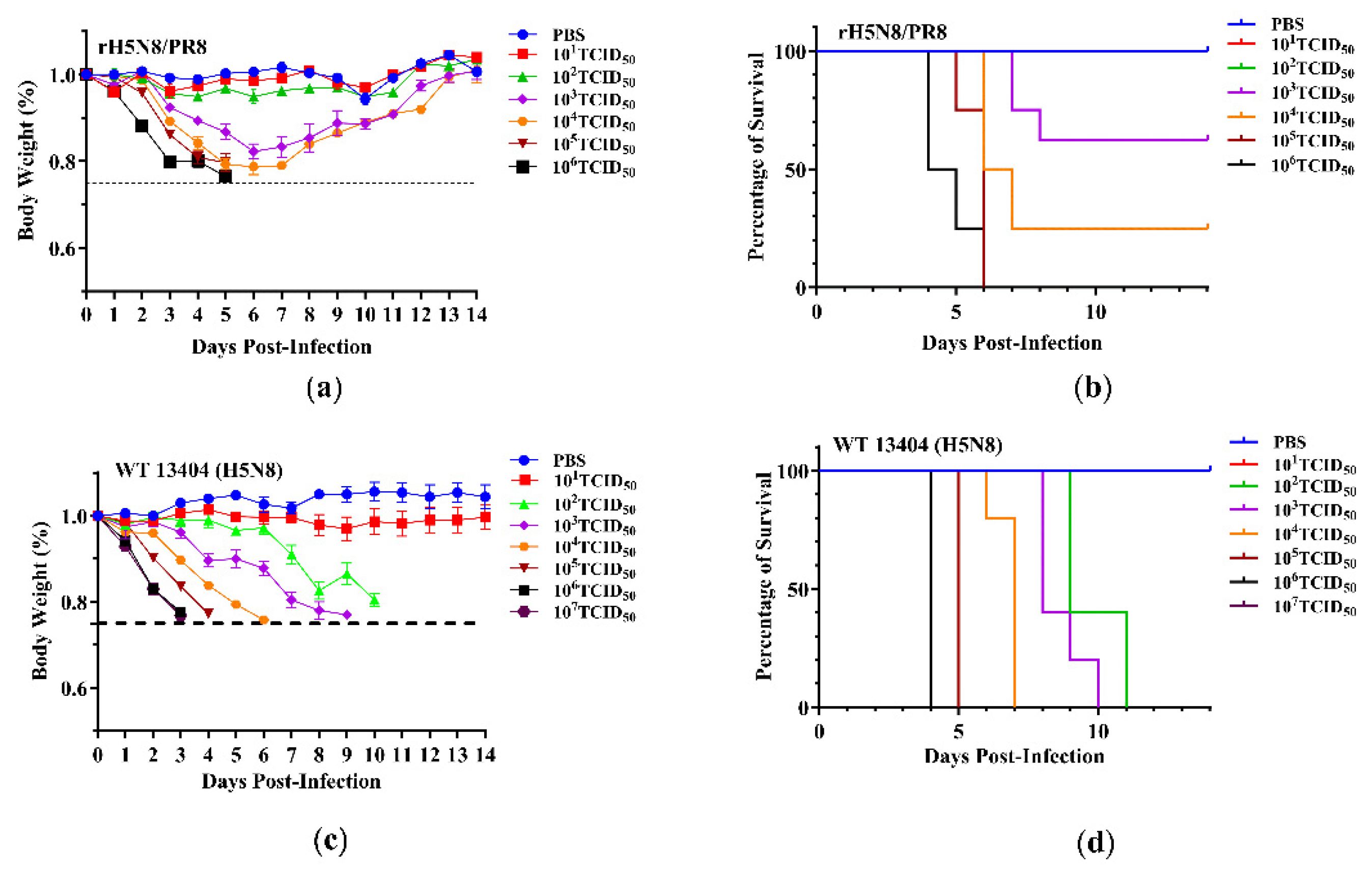 Viruses 17 00544 g003
