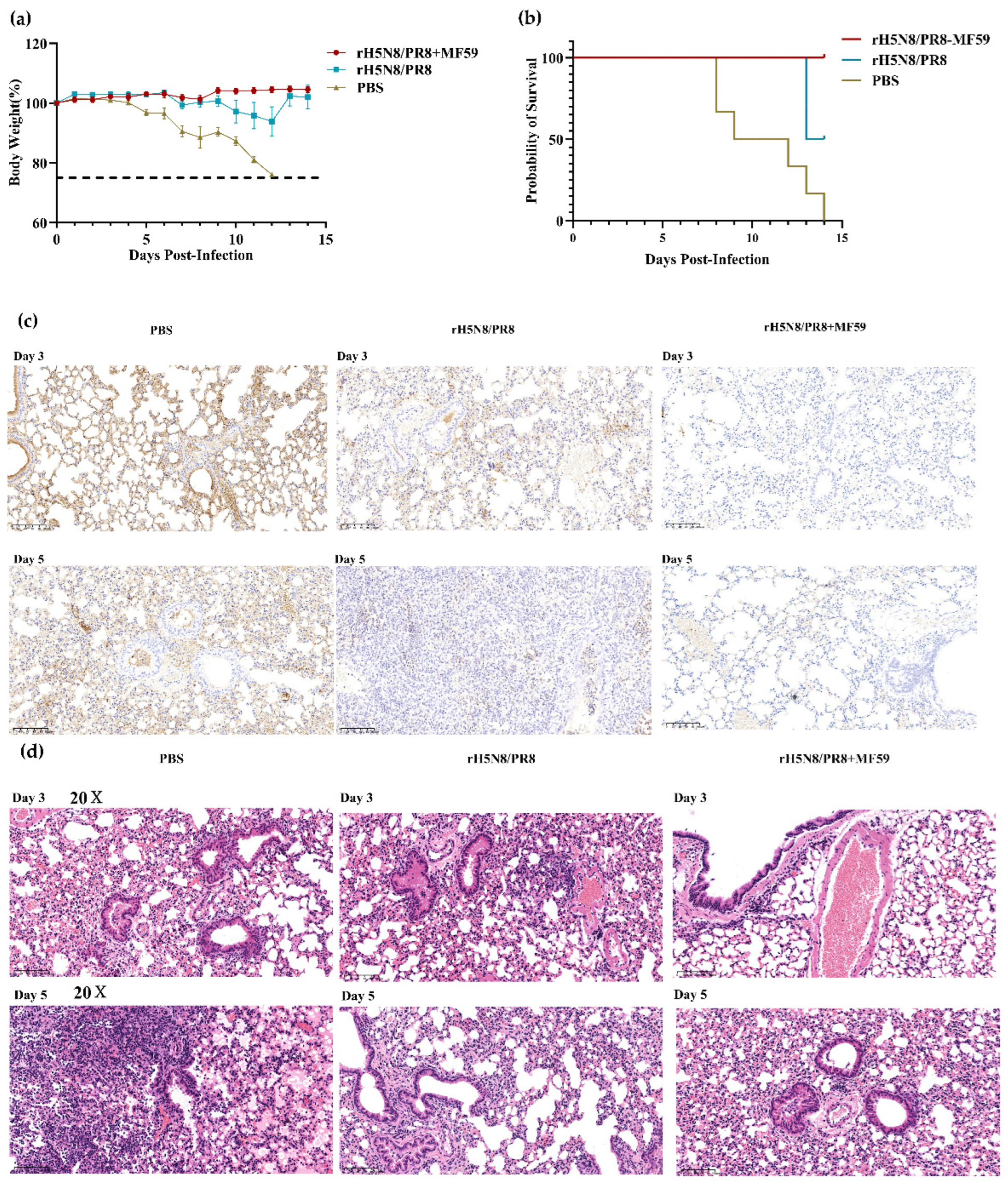 Viruses 17 00544 g008
