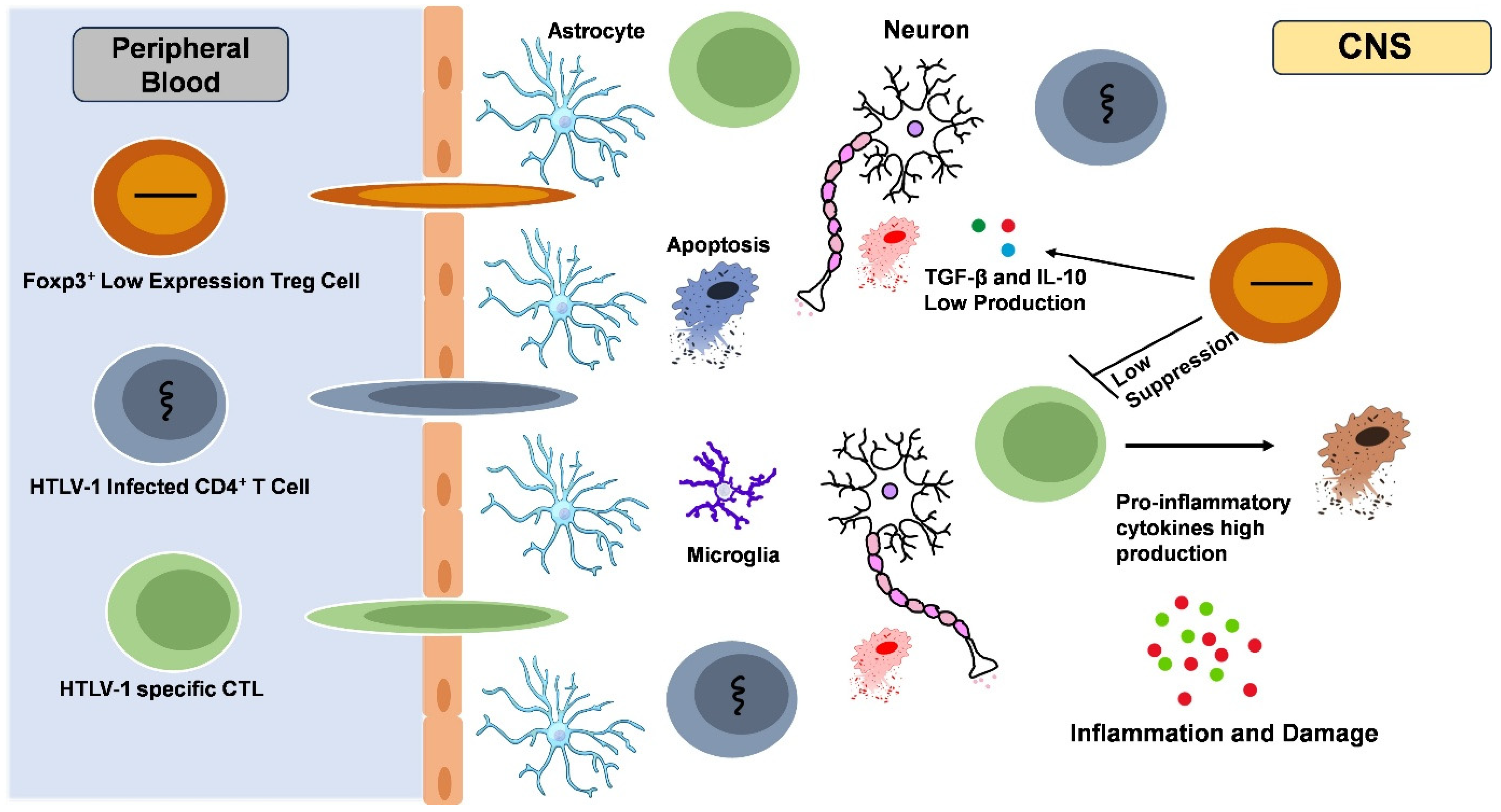 Viruses 17 00545 g002
