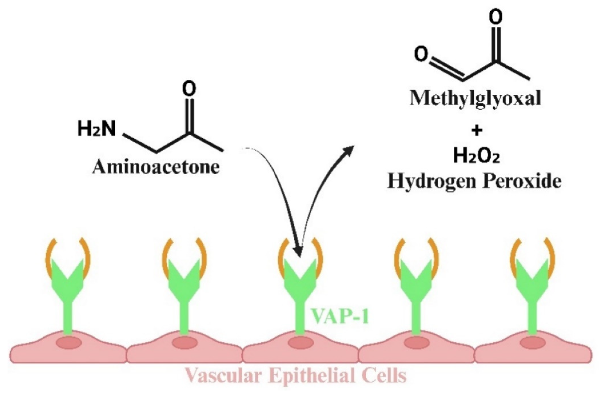 Viruses 17 00547 g003 Viruses 17 00547 g003