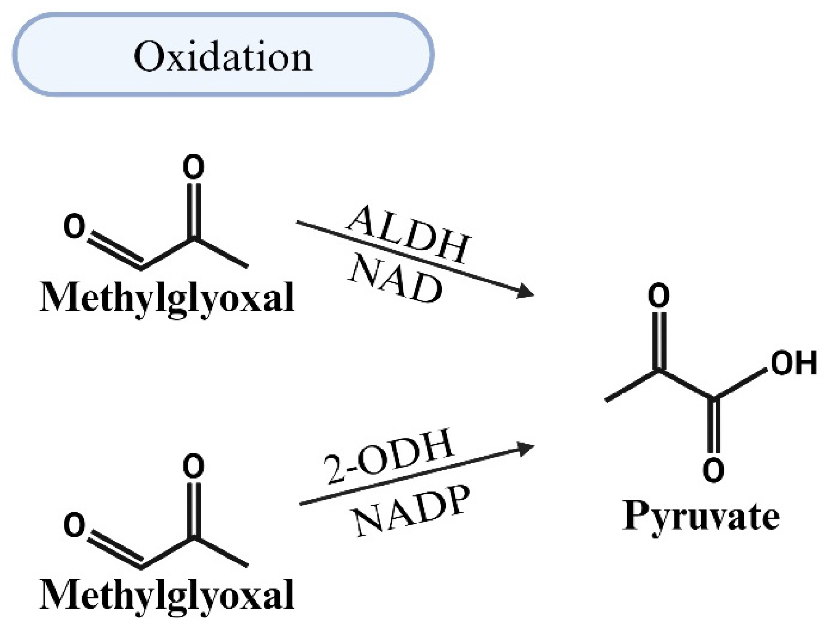 Viruses 17 00547 g005 Viruses 17 00547 g005