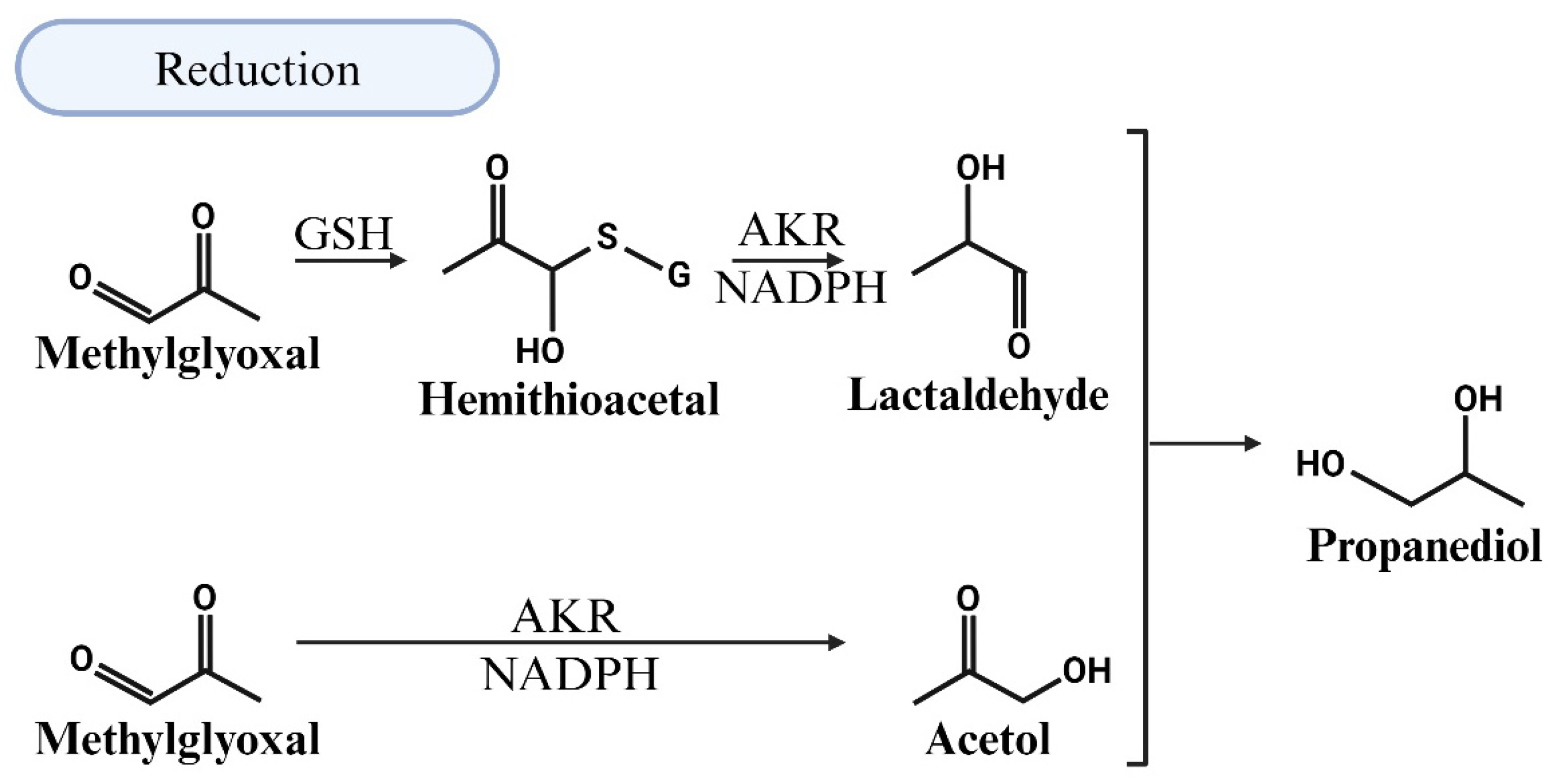 Viruses 17 00547 g006 Viruses 17 00547 g006
