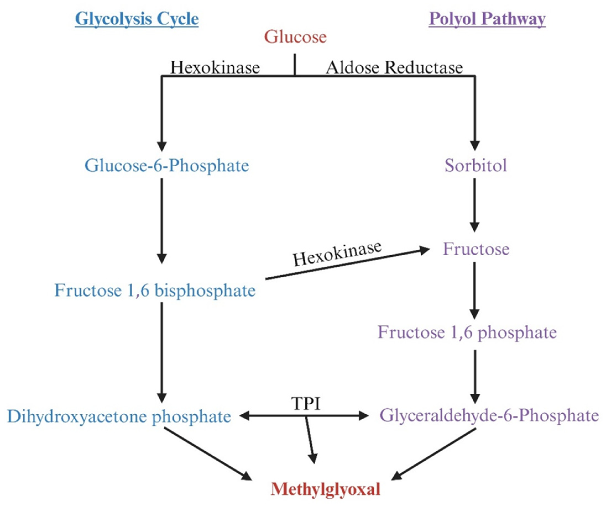 Viruses 17 00547 g007 Viruses 17 00547 g007