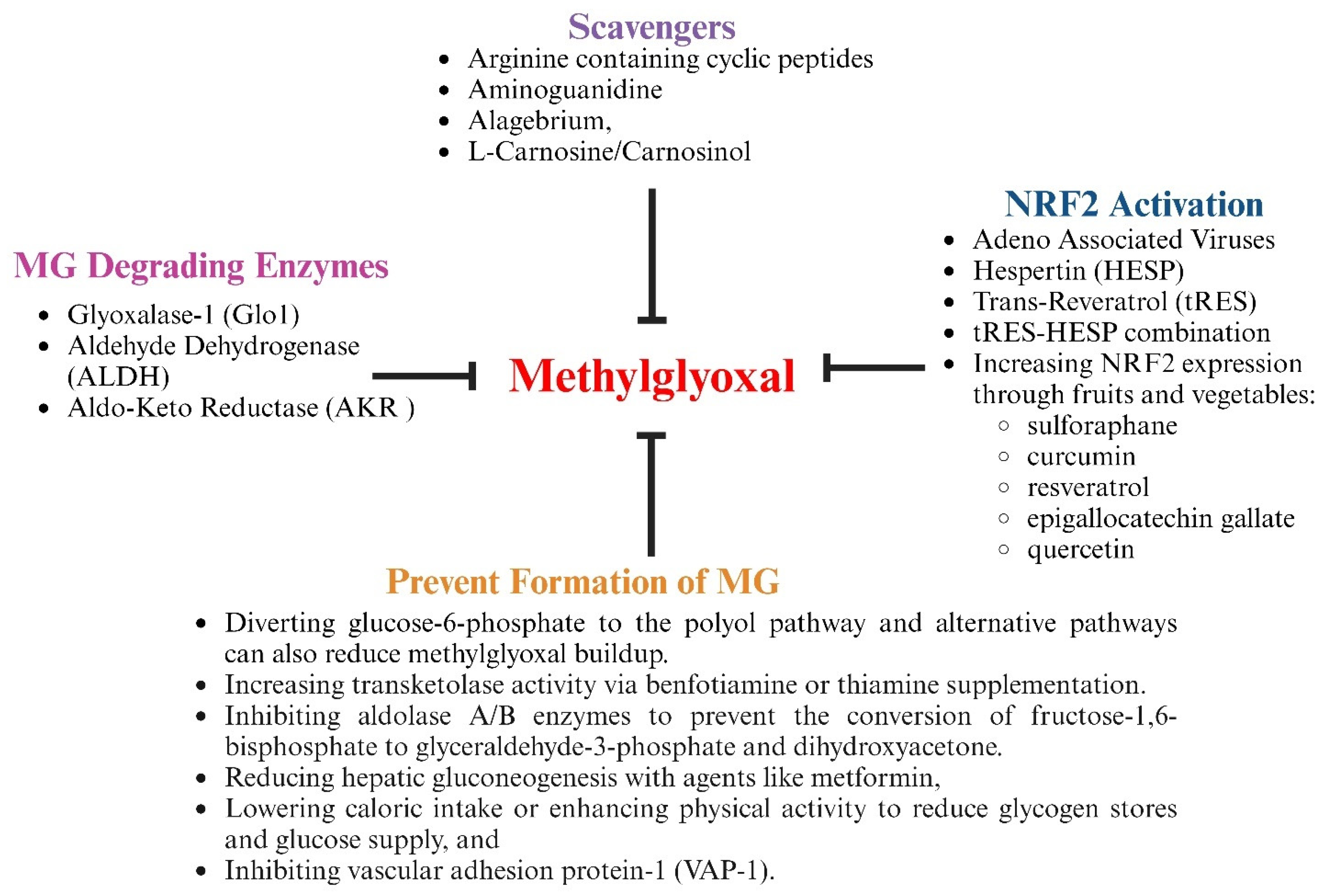 Viruses 17 00547 g009 Viruses 17 00547 g009