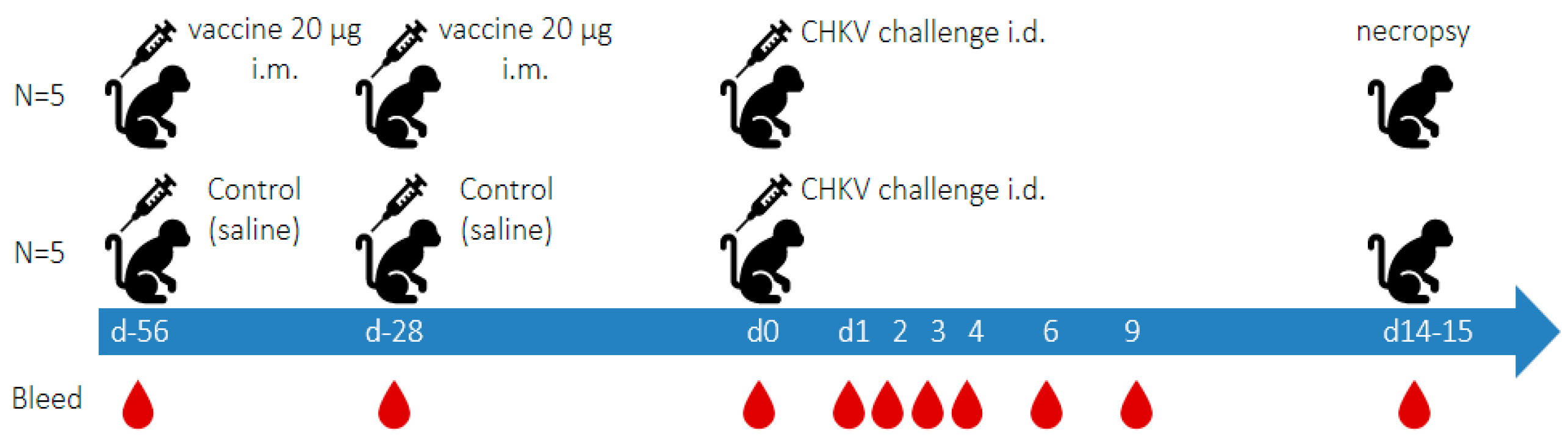 Viruses 17 00550 g001