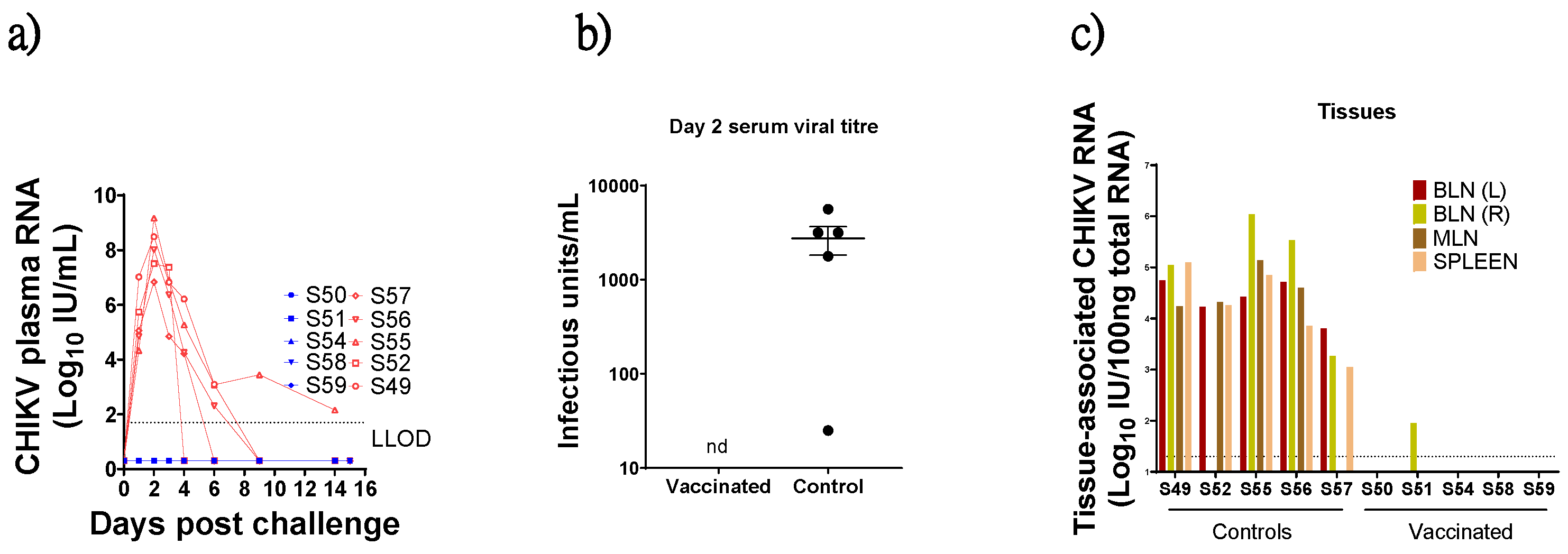 Viruses 17 00550 g003