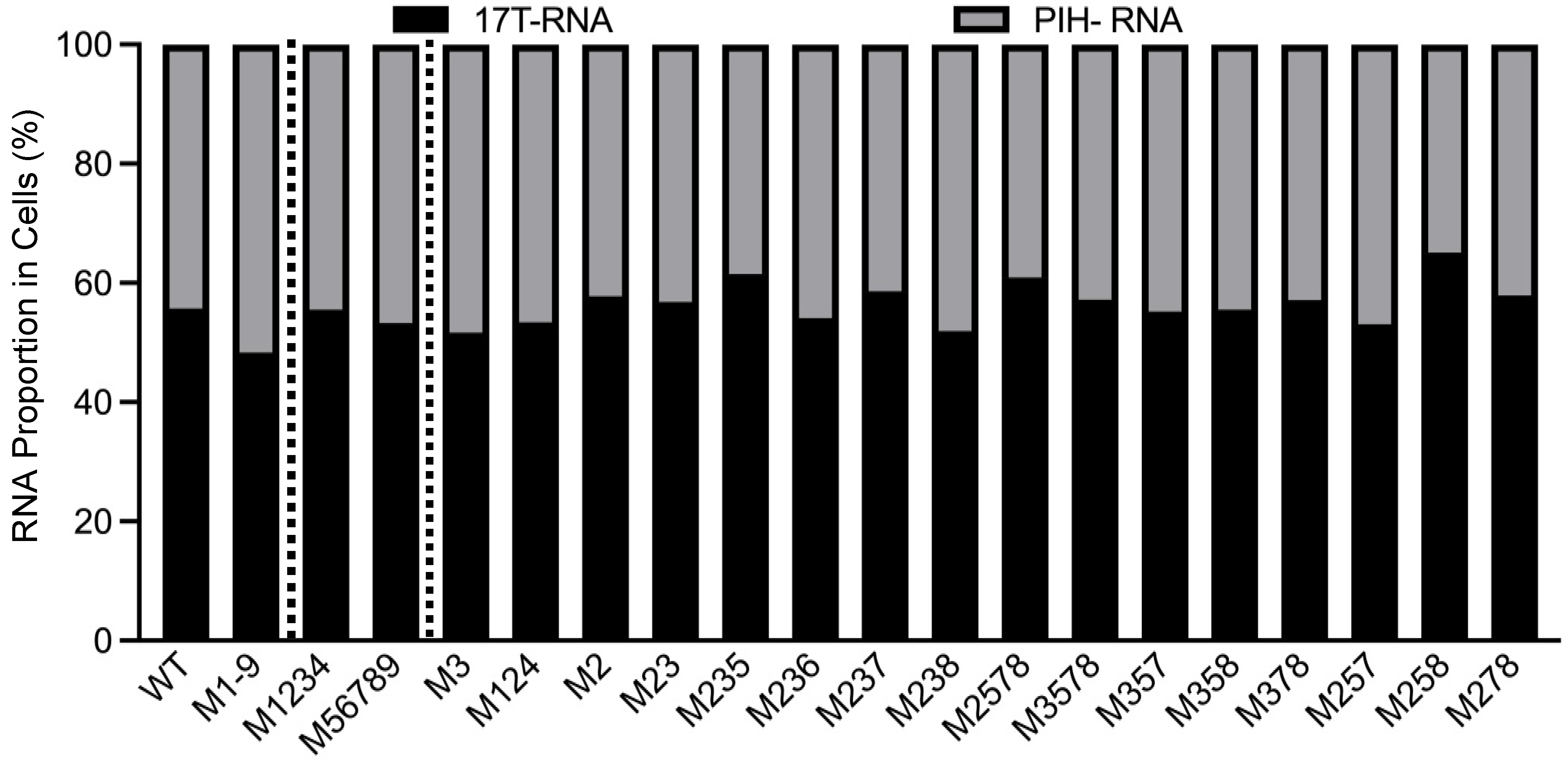 Viruses 17 00551 g003